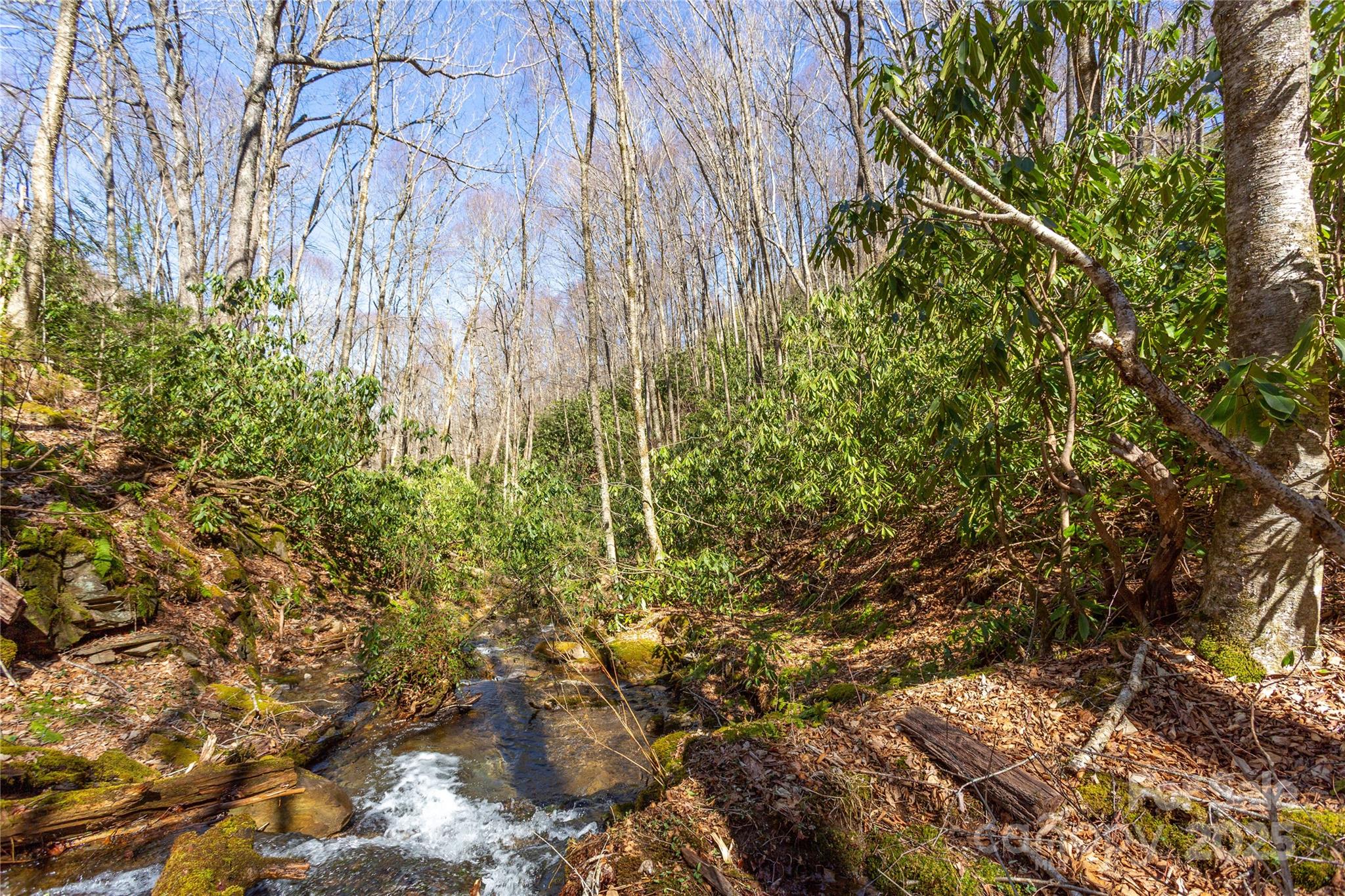 Lot 48c Bearwallow Ridge Trail 48c Property Photo 6