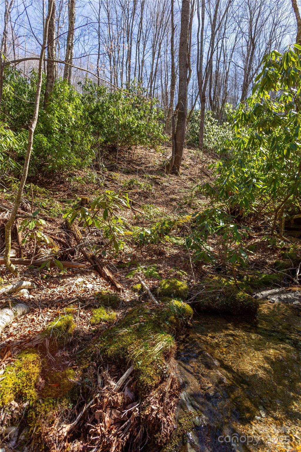 Lot 48c Bearwallow Ridge Trail 48c Property Photo 7