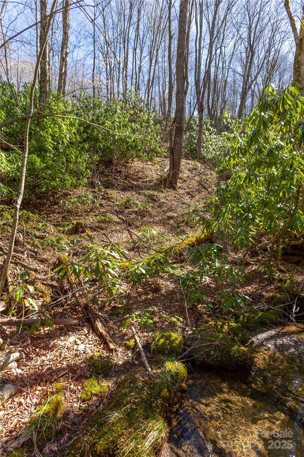 Lot 48c Bearwallow Ridge Trail 48c Property Photo 8