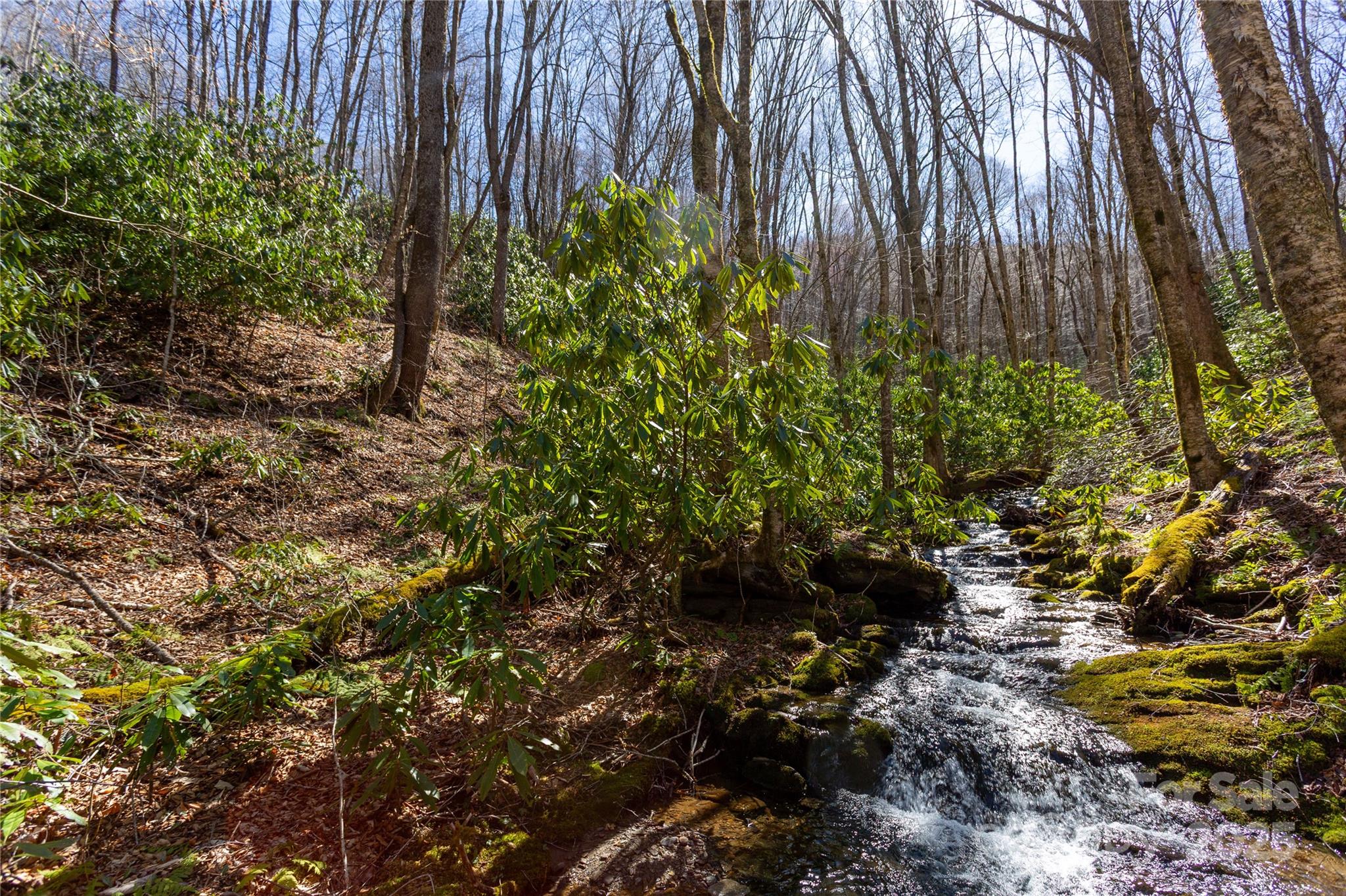Lot 48c Bearwallow Ridge Trail 48c Property Photo 10