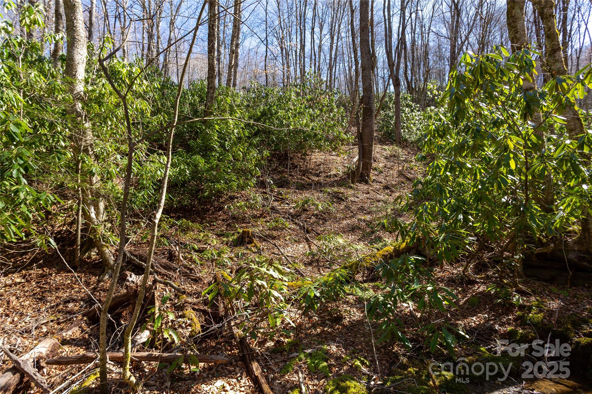 Lot 48c Bearwallow Ridge Trail 48c Property Photo 11