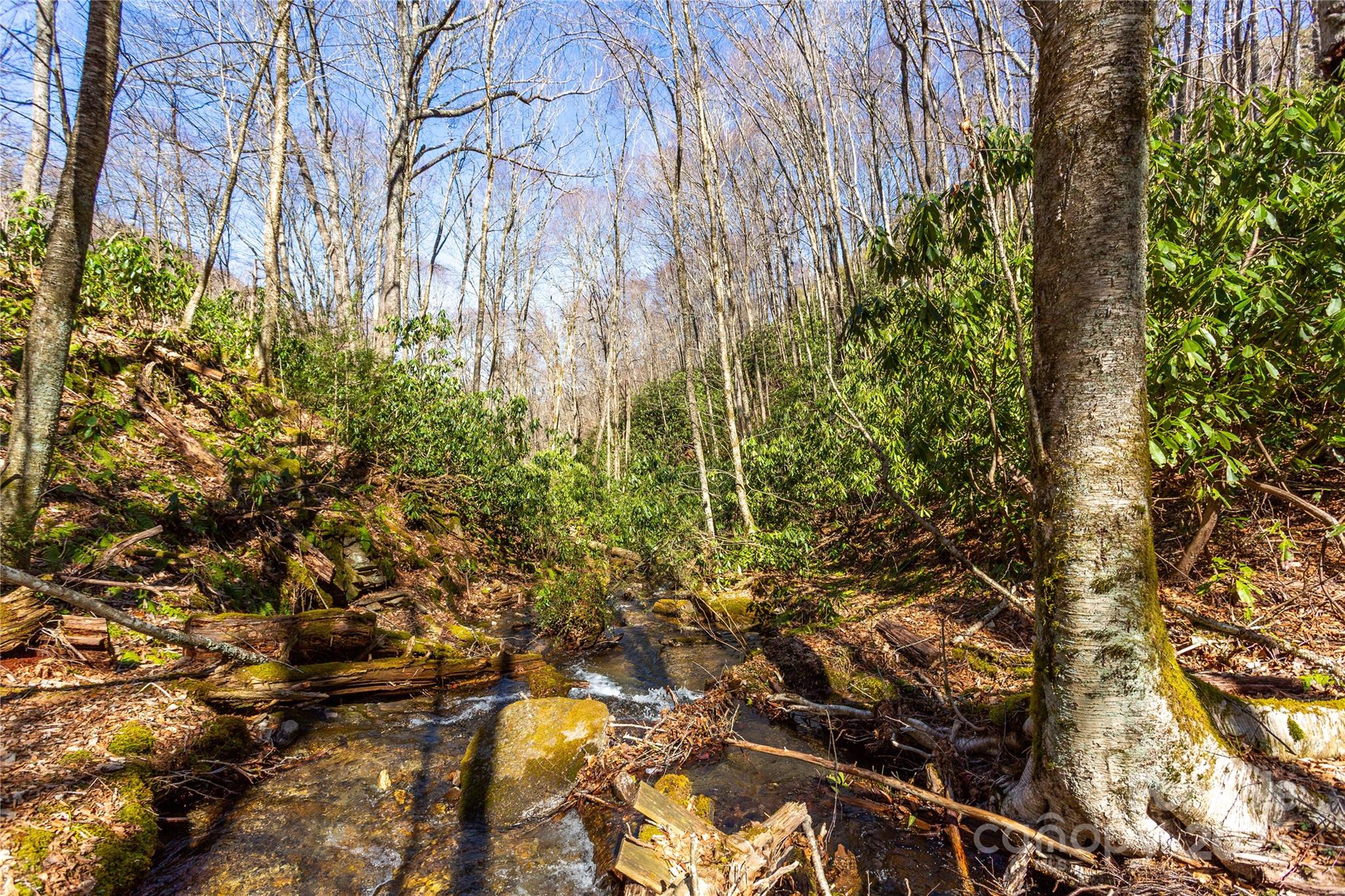 Lot 48c Bearwallow Ridge Trail 48c Property Photo 12