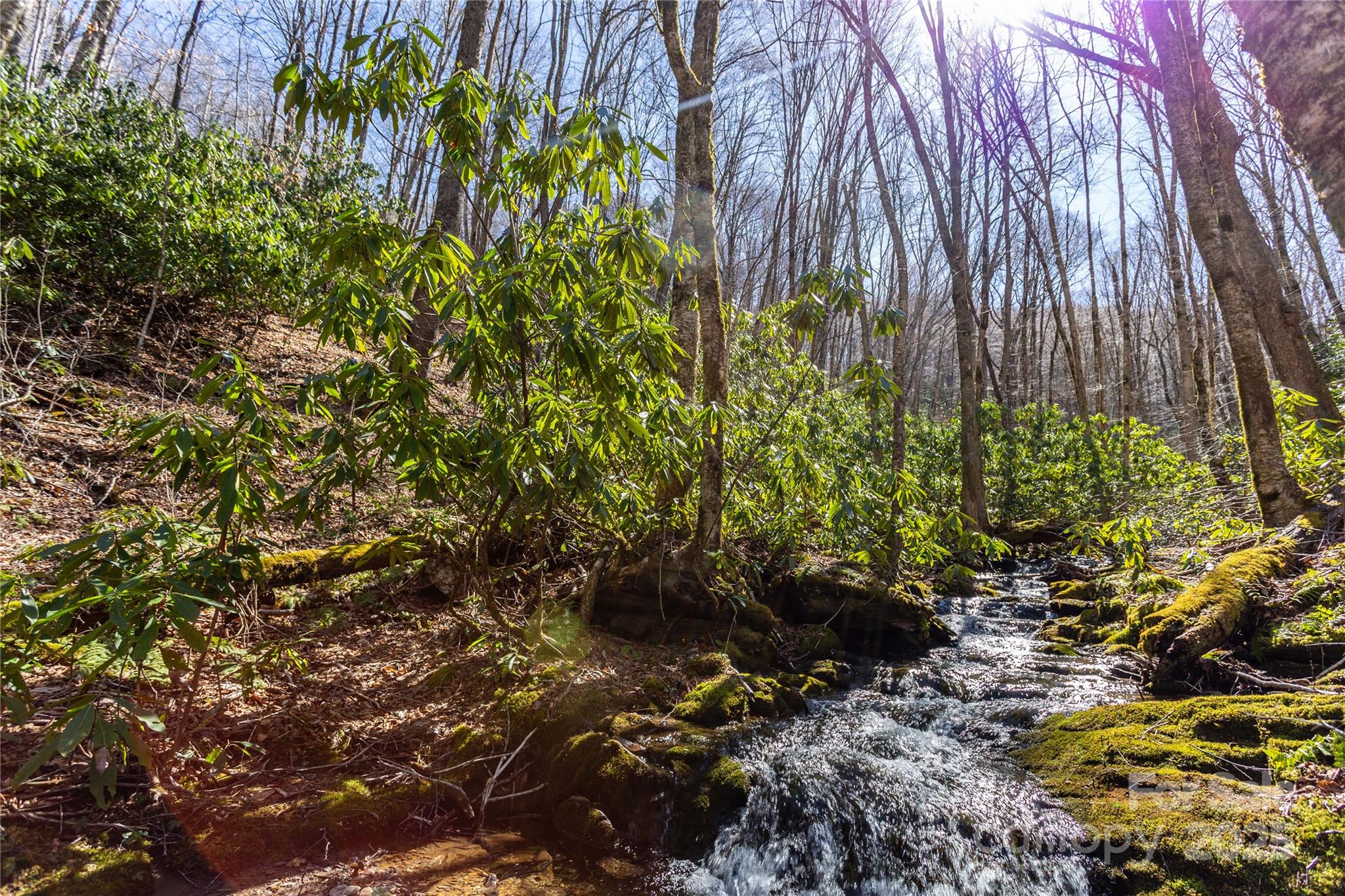 Lot 48c Bearwallow Ridge Trail 48c Property Photo 13