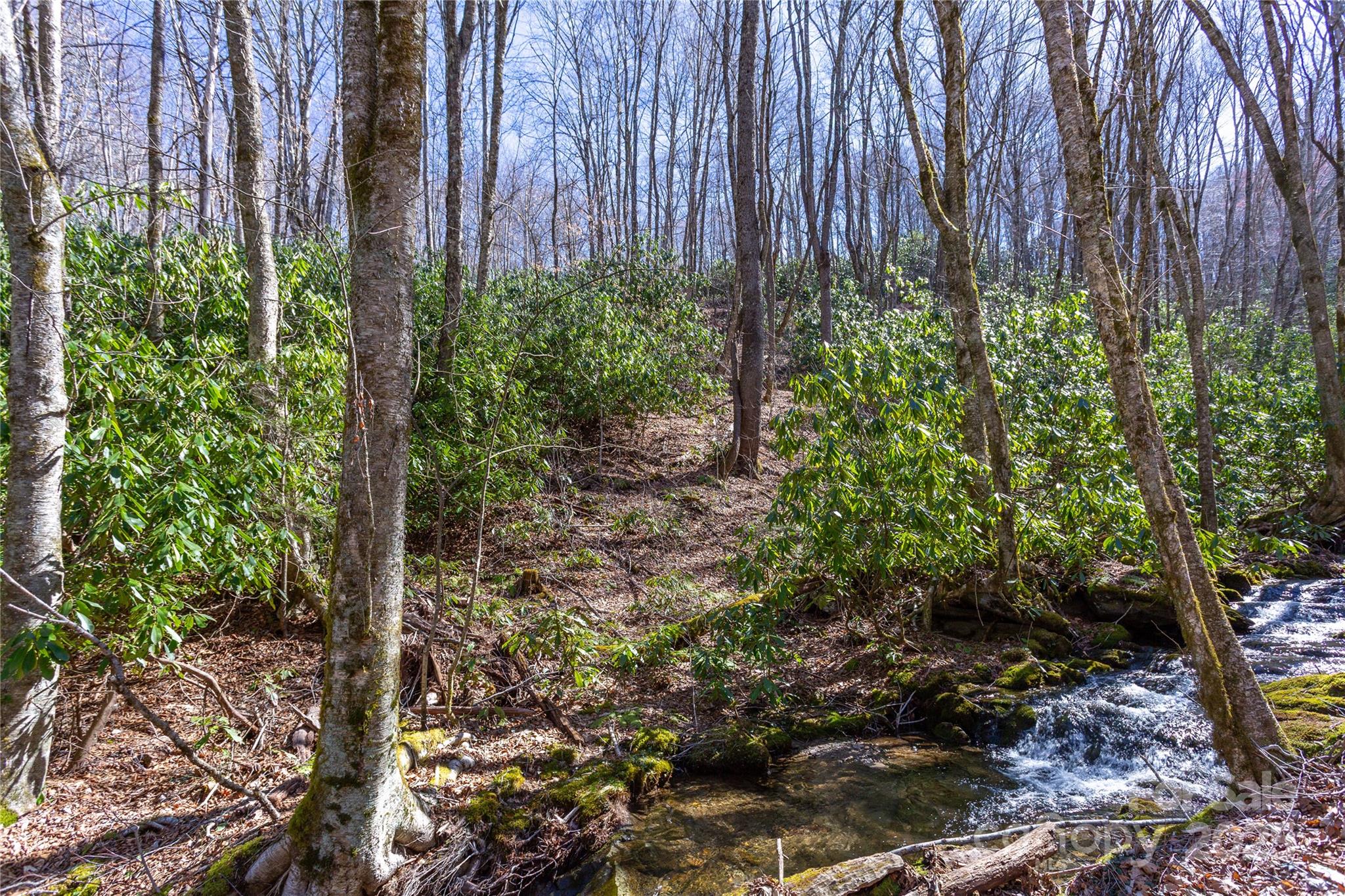 Lot 48c Bearwallow Ridge Trail 48c Property Photo 14