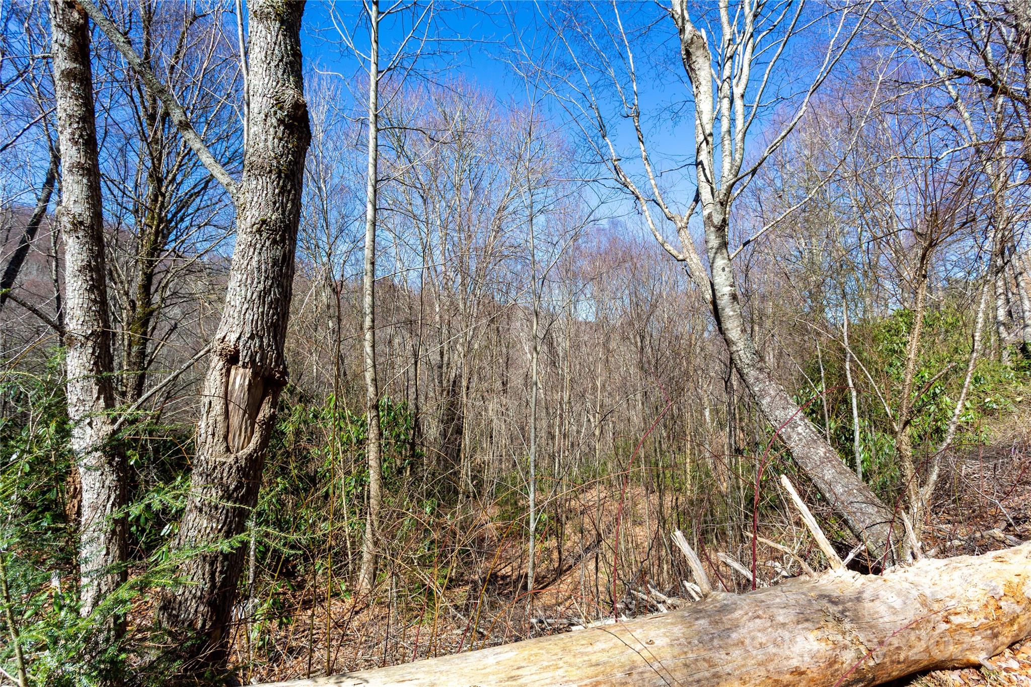 Lot 48c Bearwallow Ridge Trail 48c Property Photo 16