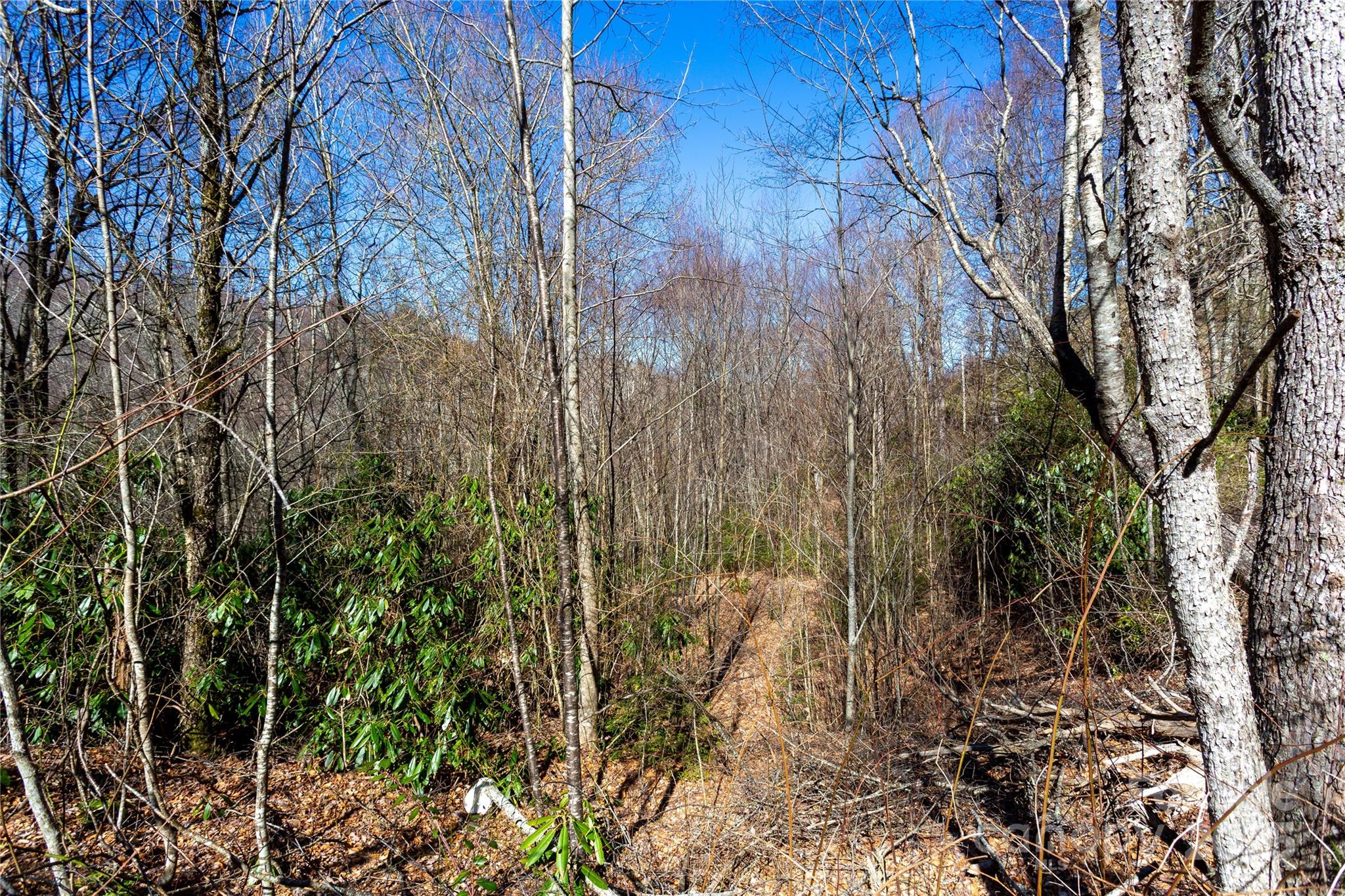 Lot 48c Bearwallow Ridge Trail 48c Property Photo 17