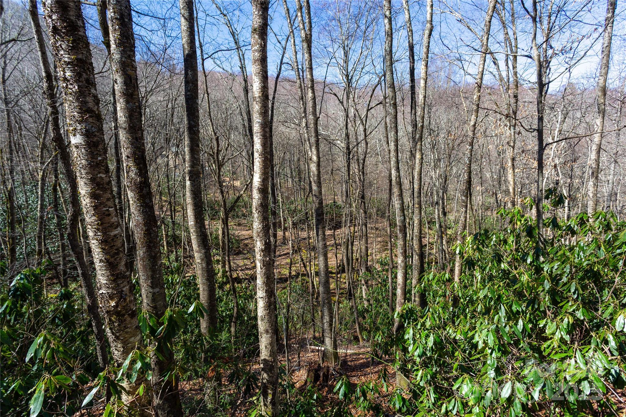 Lot 48c Bearwallow Ridge Trail 48c Property Photo 18