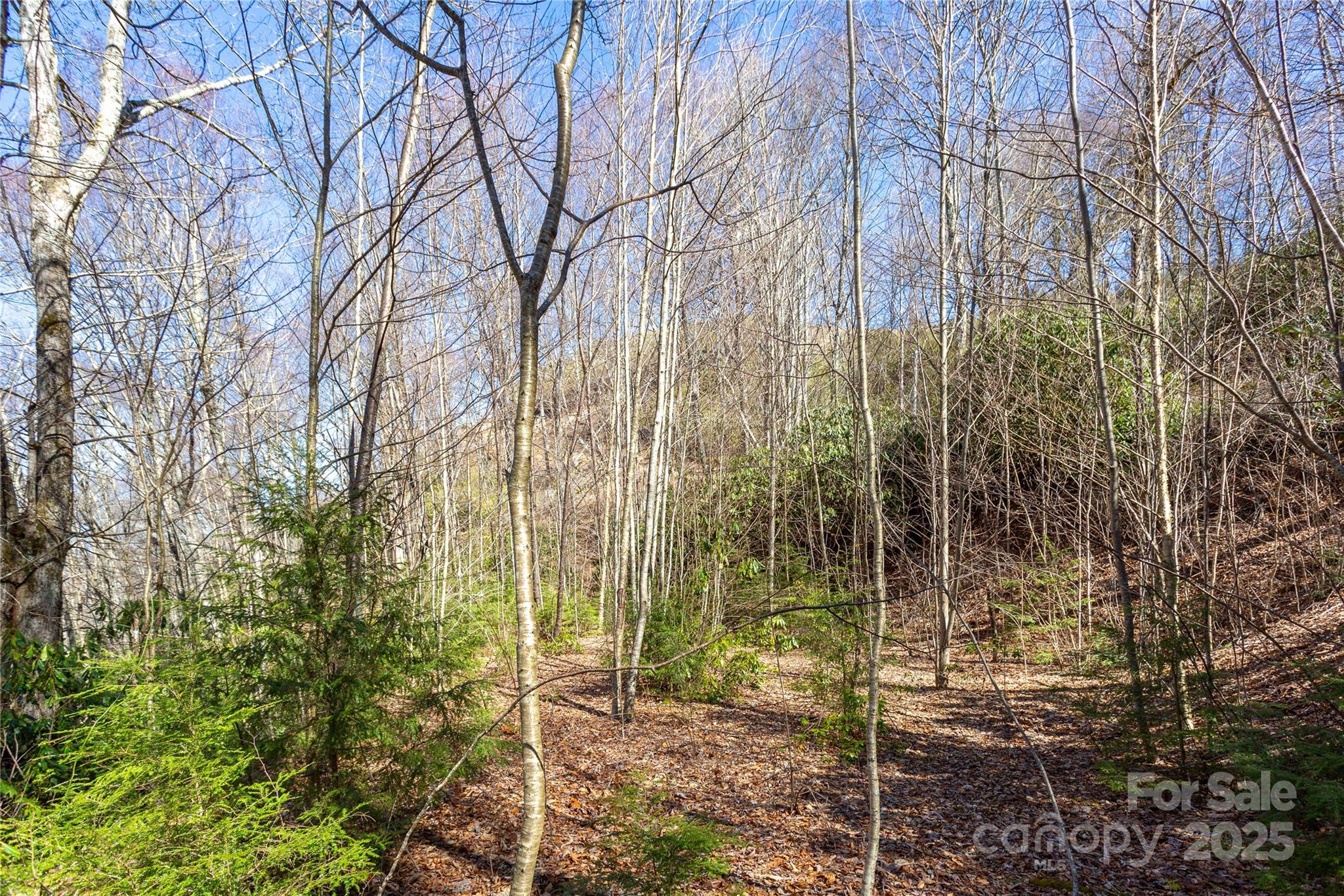Lot 48c Bearwallow Ridge Trail 48c Property Photo 19