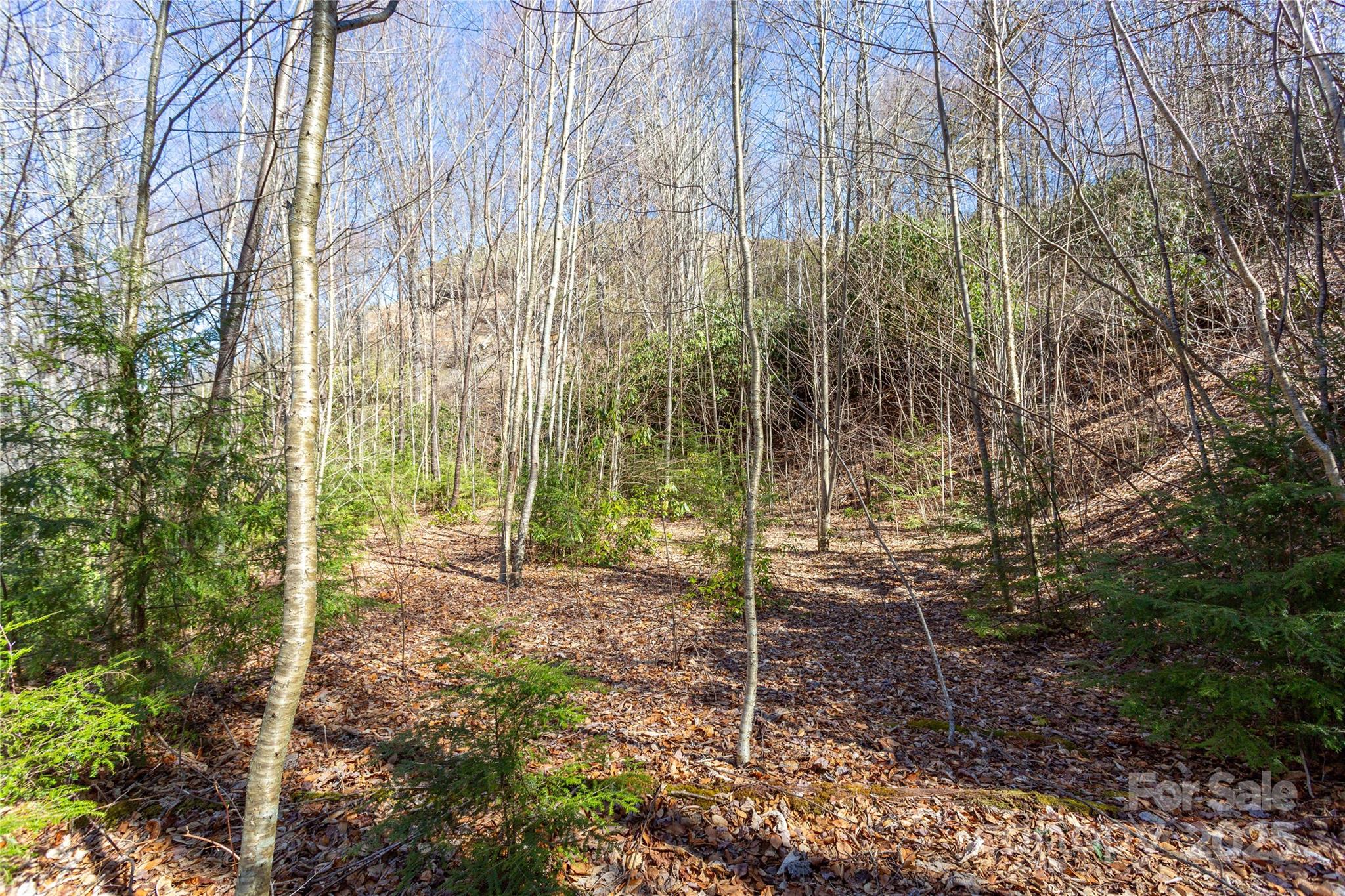 Lot 48c Bearwallow Ridge Trail 48c Property Photo 20