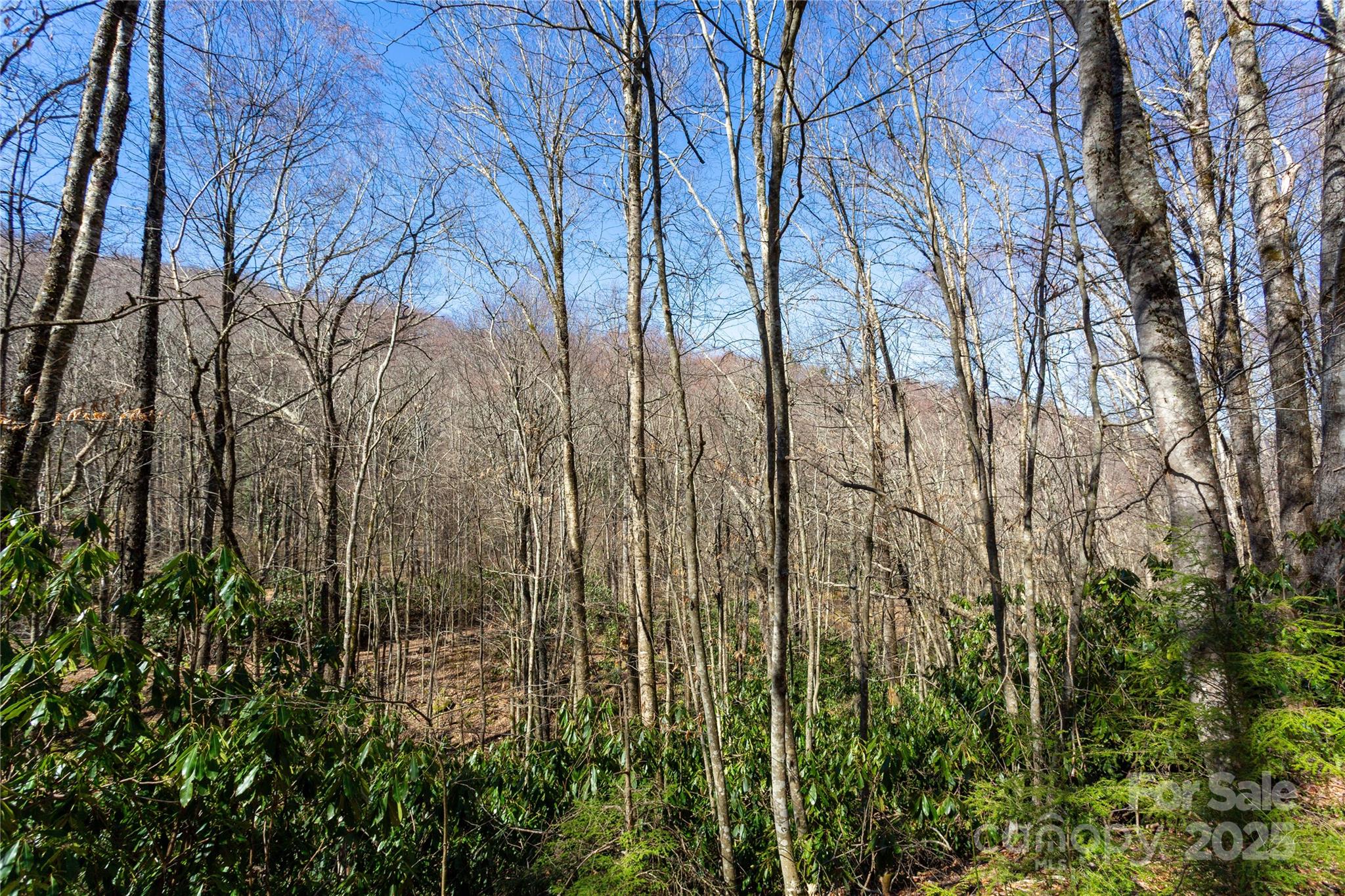 Lot 48c Bearwallow Ridge Trail 48c Property Photo 21