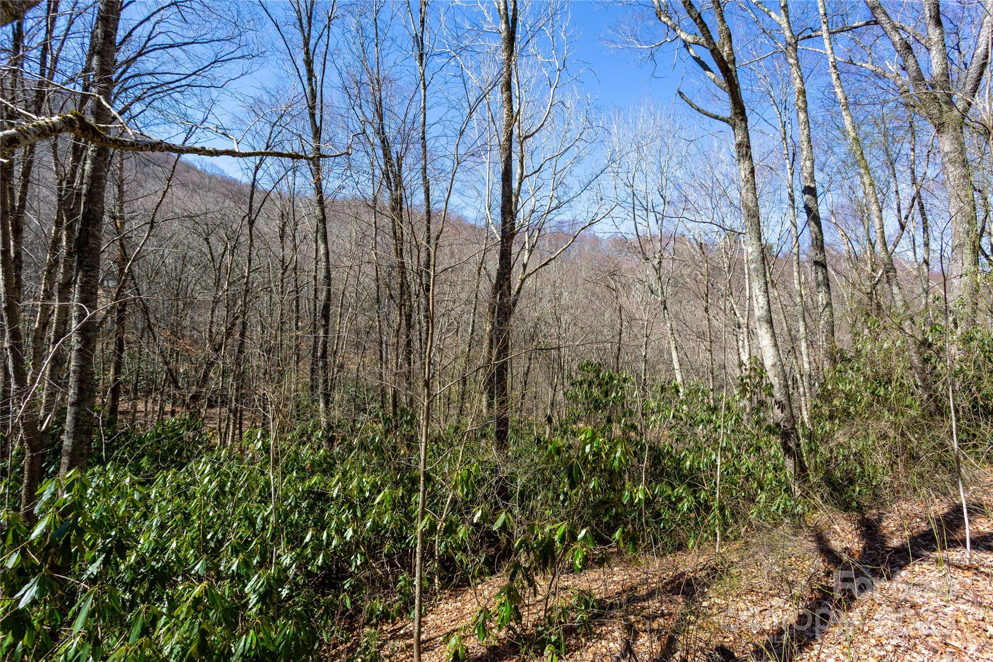 Lot 48c Bearwallow Ridge Trail 48c Property Photo 22