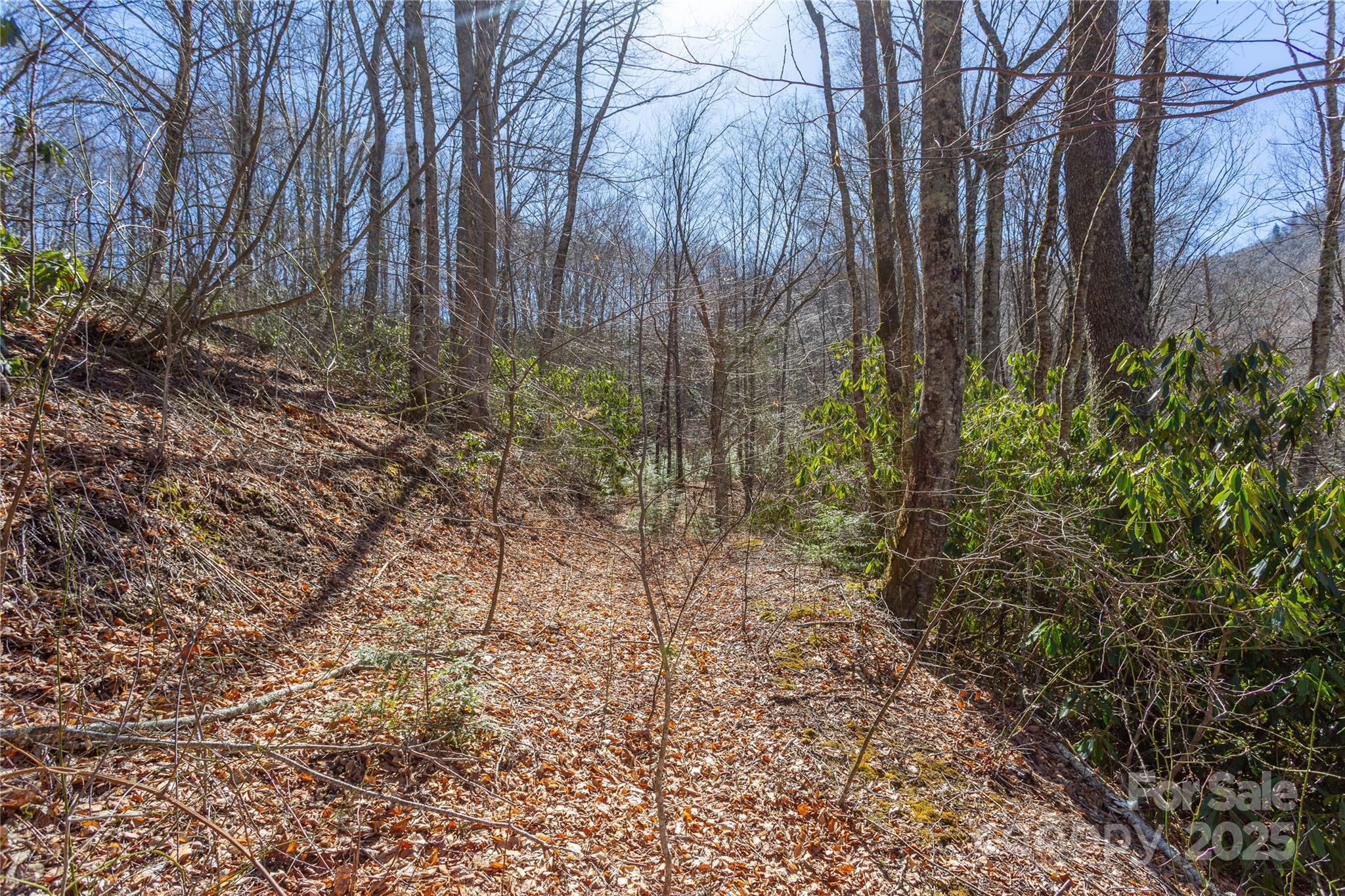 Lot 48c Bearwallow Ridge Trail 48c Property Photo 23