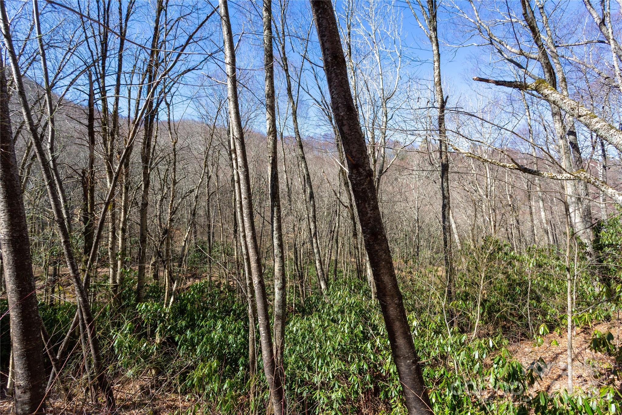 Lot 48c Bearwallow Ridge Trail 48c Property Photo 25
