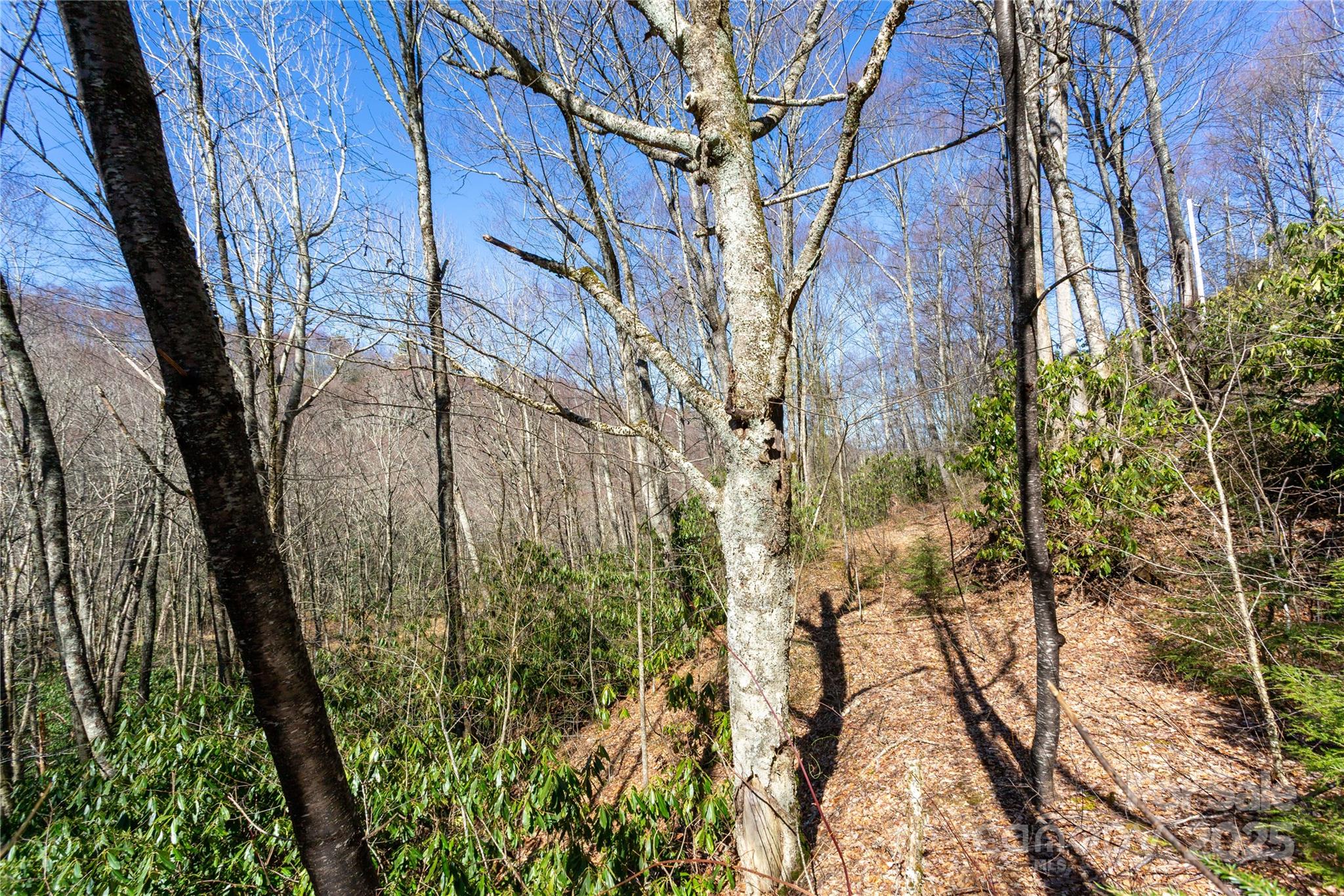 Lot 48c Bearwallow Ridge Trail 48c Property Photo 26