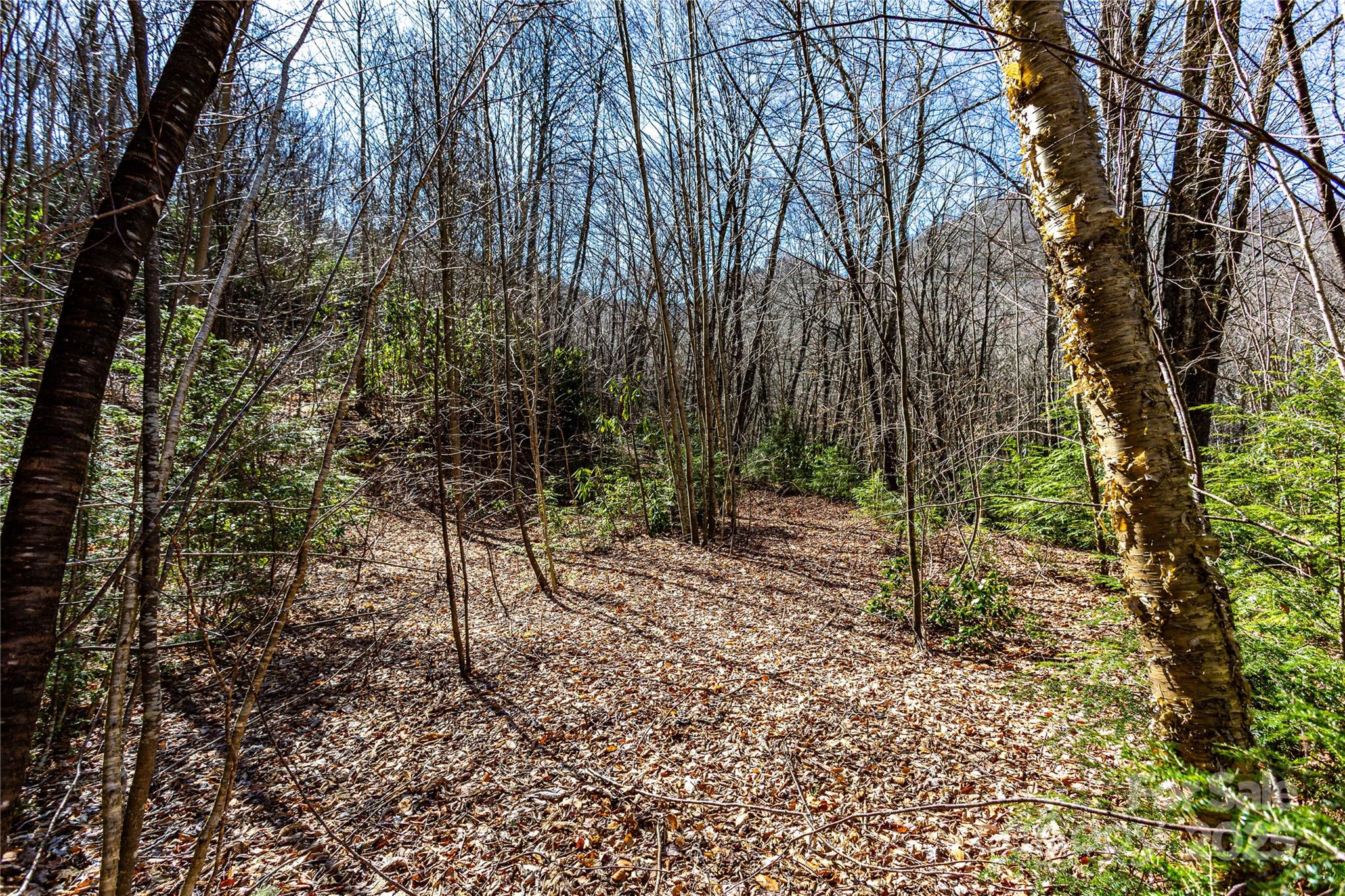 Lot 48c Bearwallow Ridge Trail 48c Property Photo 27