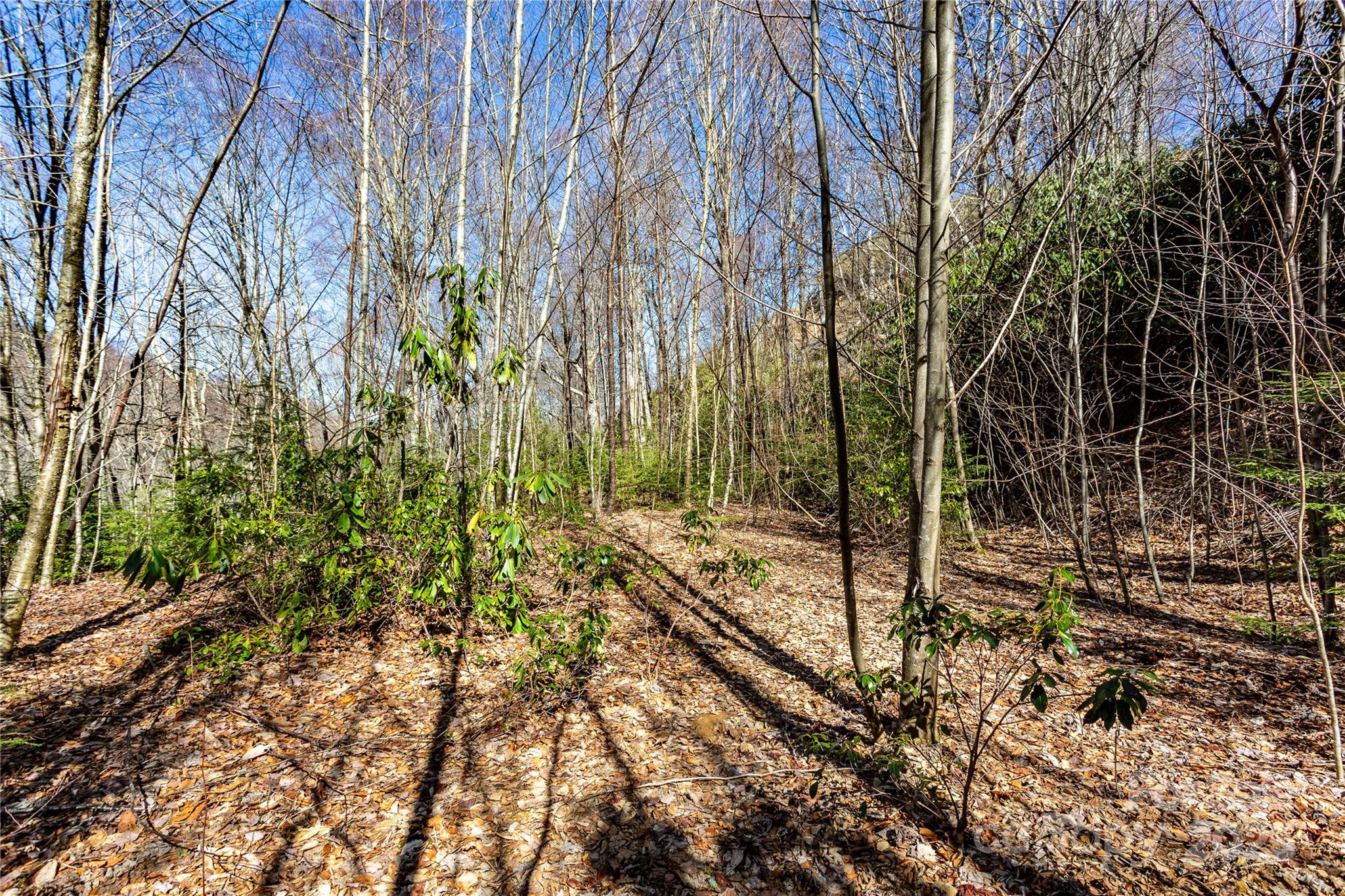 Lot 48c Bearwallow Ridge Trail 48c Property Photo 28