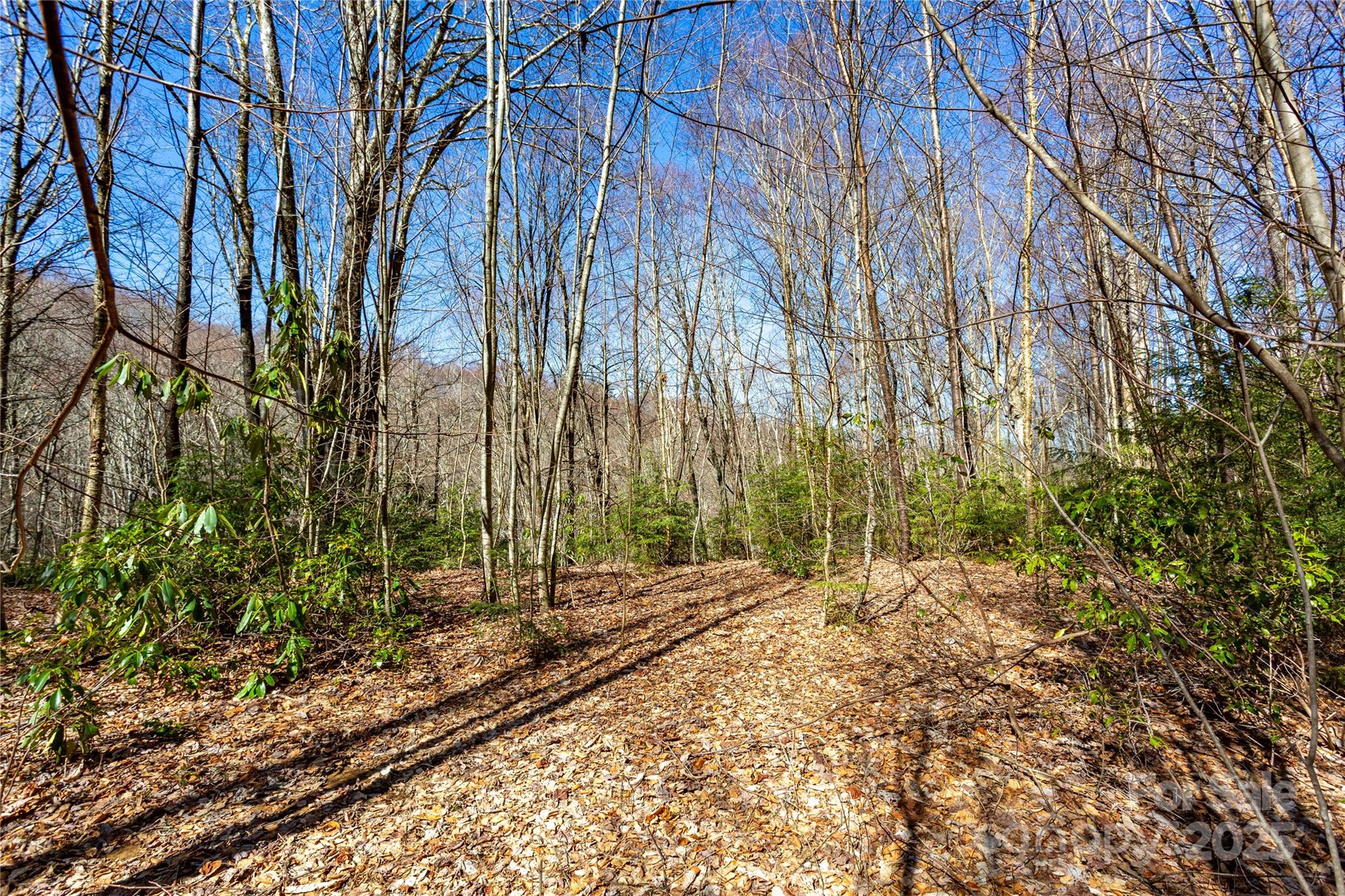 Lot 48c Bearwallow Ridge Trail 48c Property Photo 29