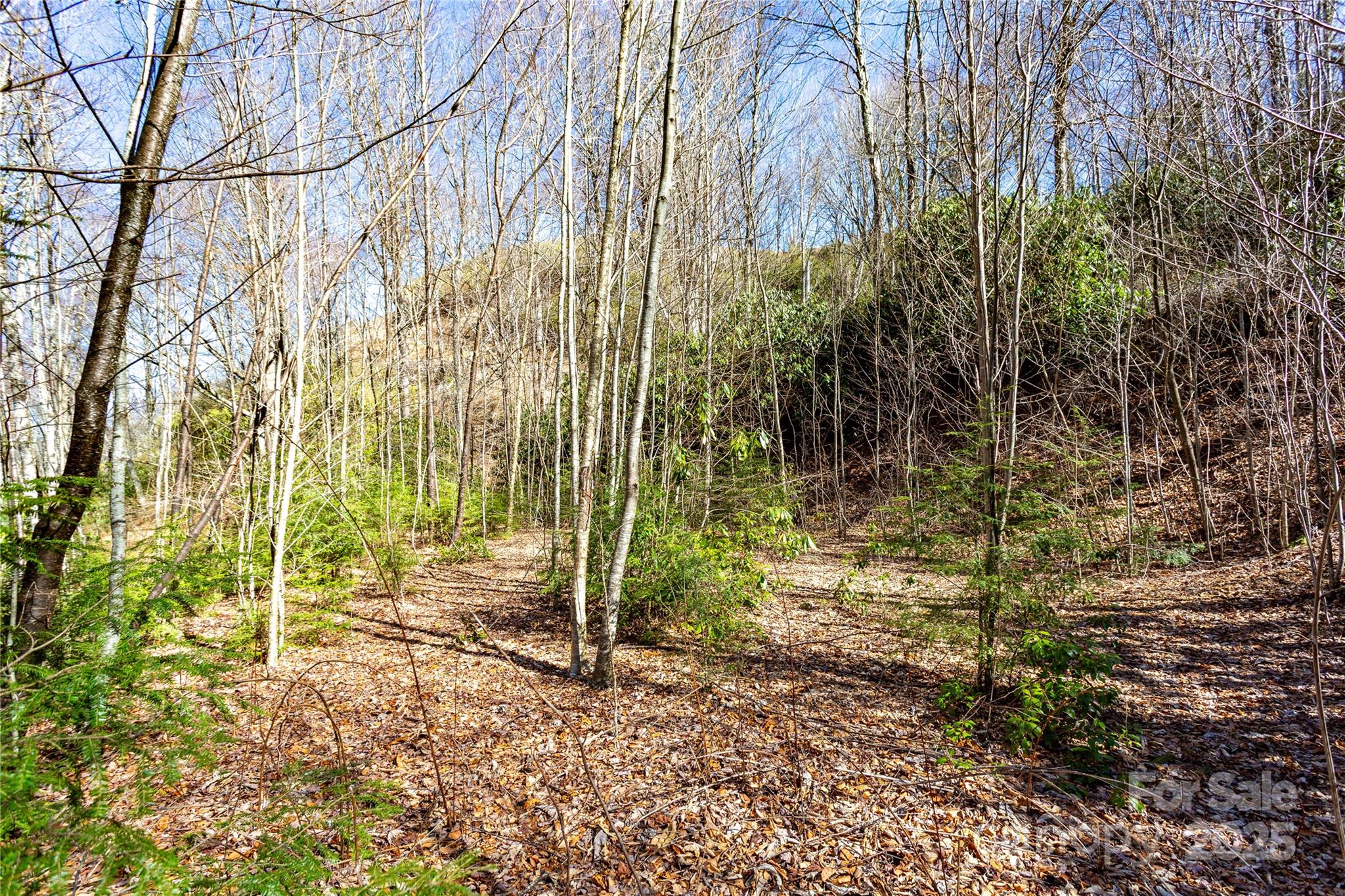 Lot 48c Bearwallow Ridge Trail 48c Property Photo 30