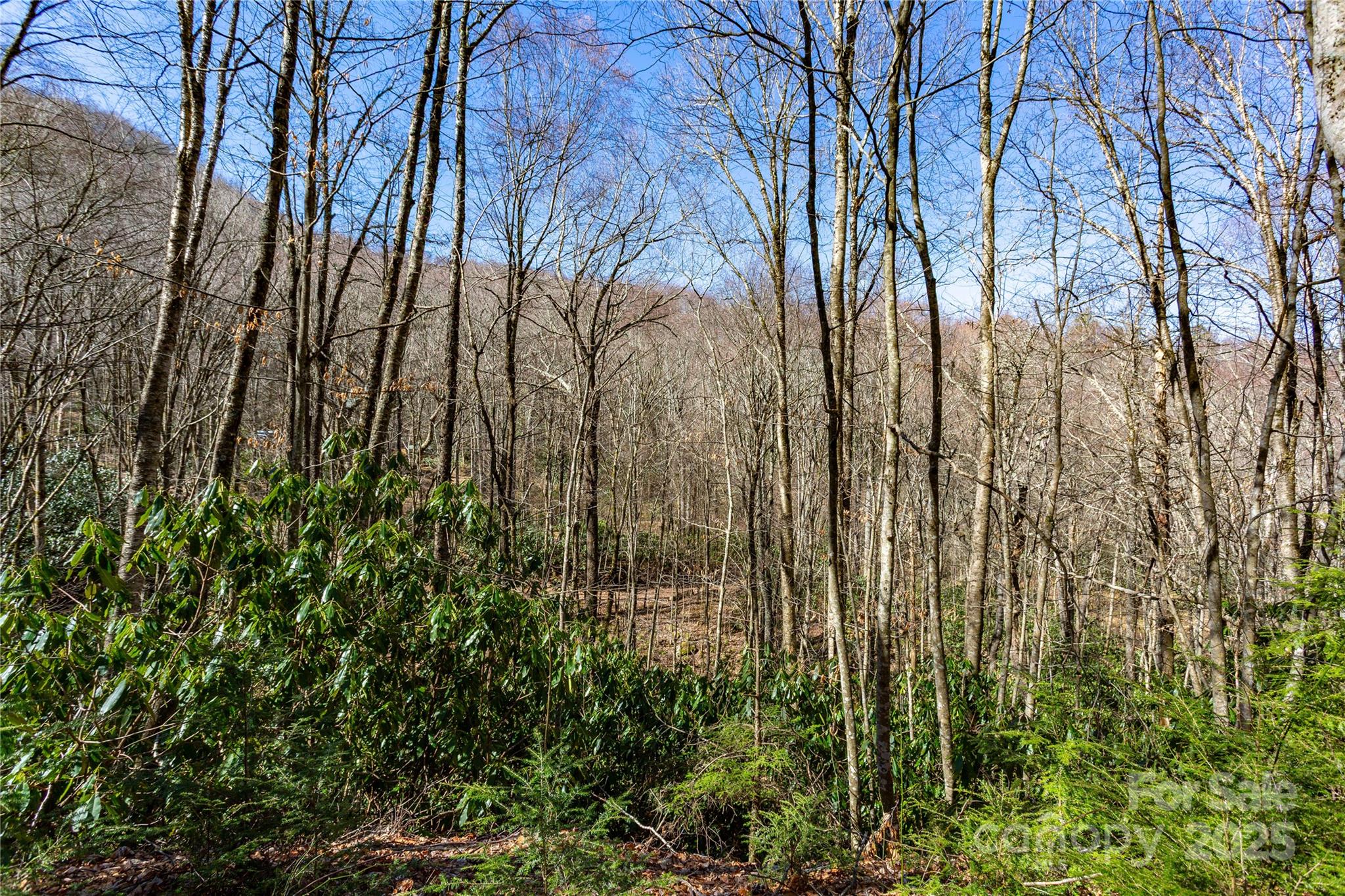 Lot 48c Bearwallow Ridge Trail 48c Property Photo 31