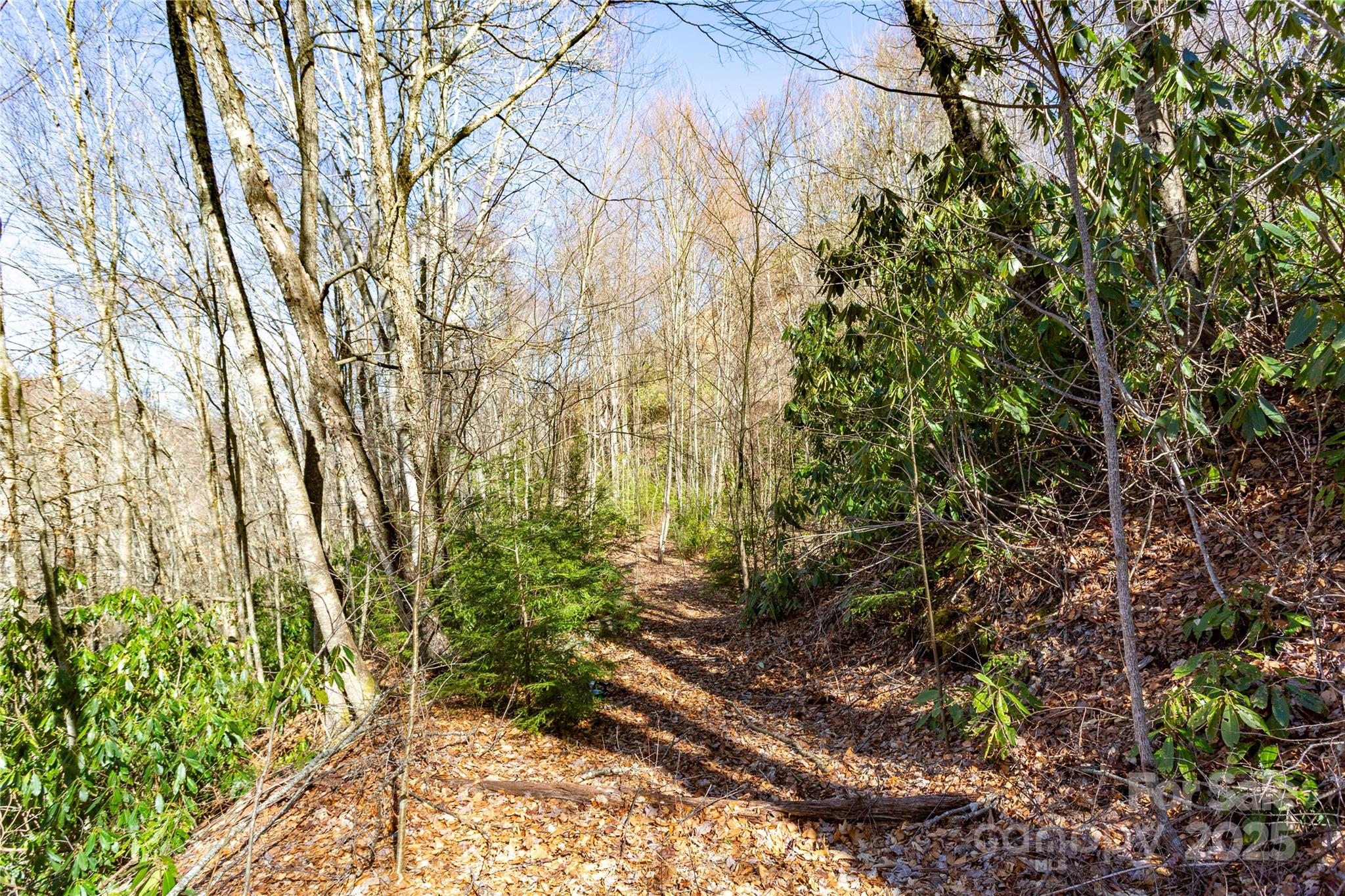 Lot 48c Bearwallow Ridge Trail 48c Property Photo 32