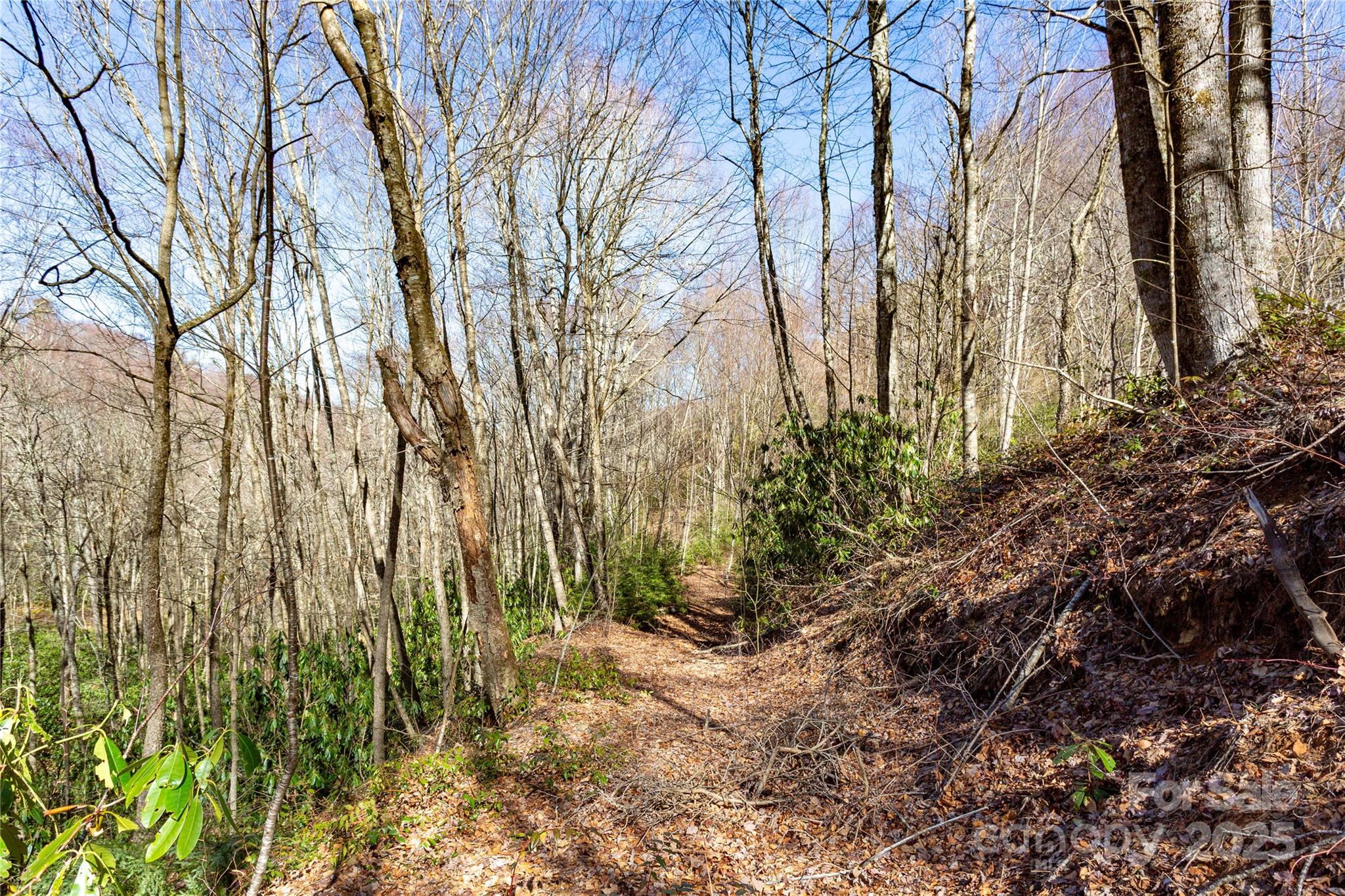 Lot 48c Bearwallow Ridge Trail 48c Property Photo 33