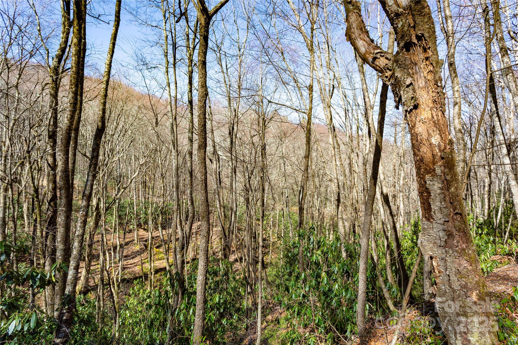 Lot 48c Bearwallow Ridge Trail 48c Property Photo 34