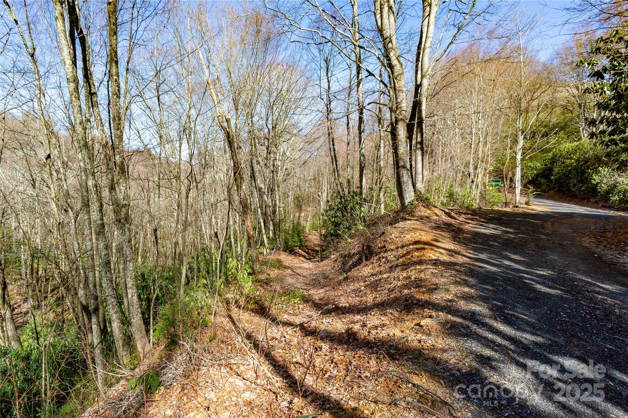 Lot 48c Bearwallow Ridge Trail 48c Property Photo 35