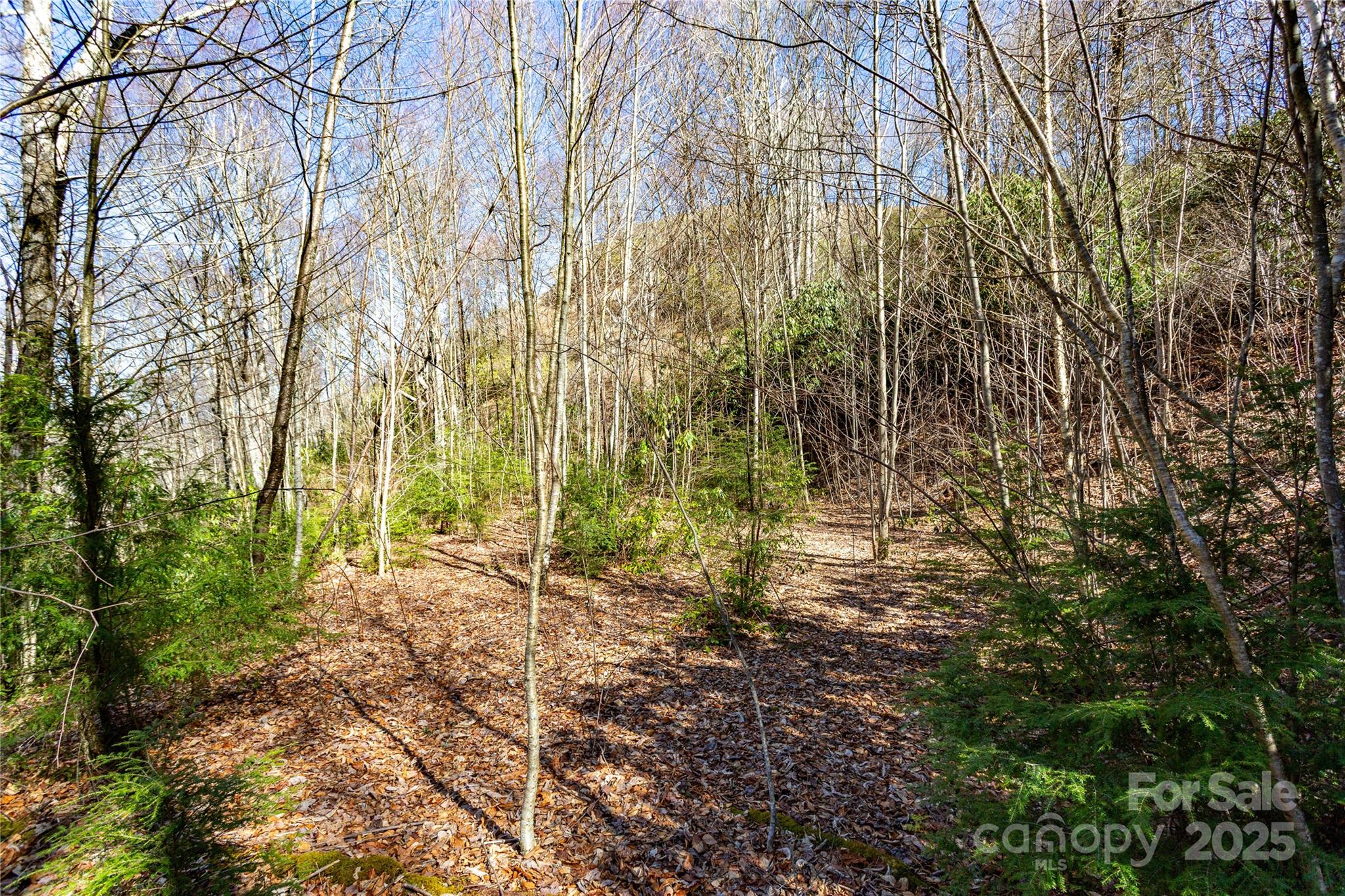 Lot 48c Bearwallow Ridge Trail 48c Property Photo 36