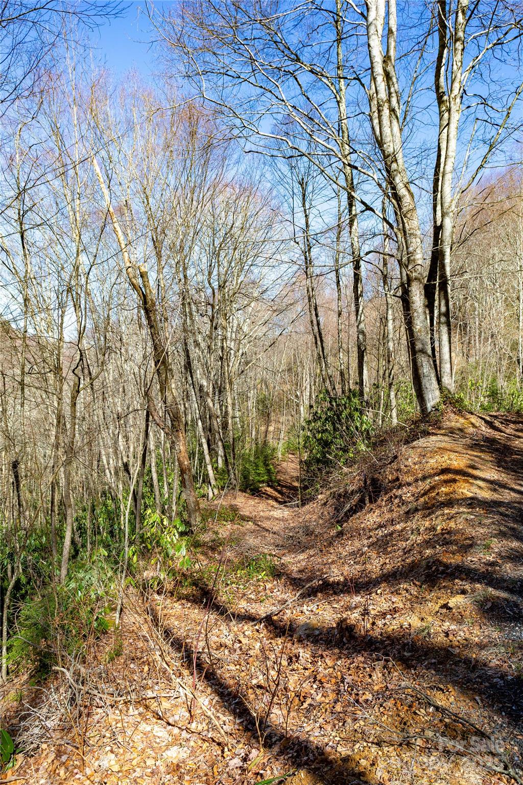 Lot 48c Bearwallow Ridge Trail 48c Property Photo 37