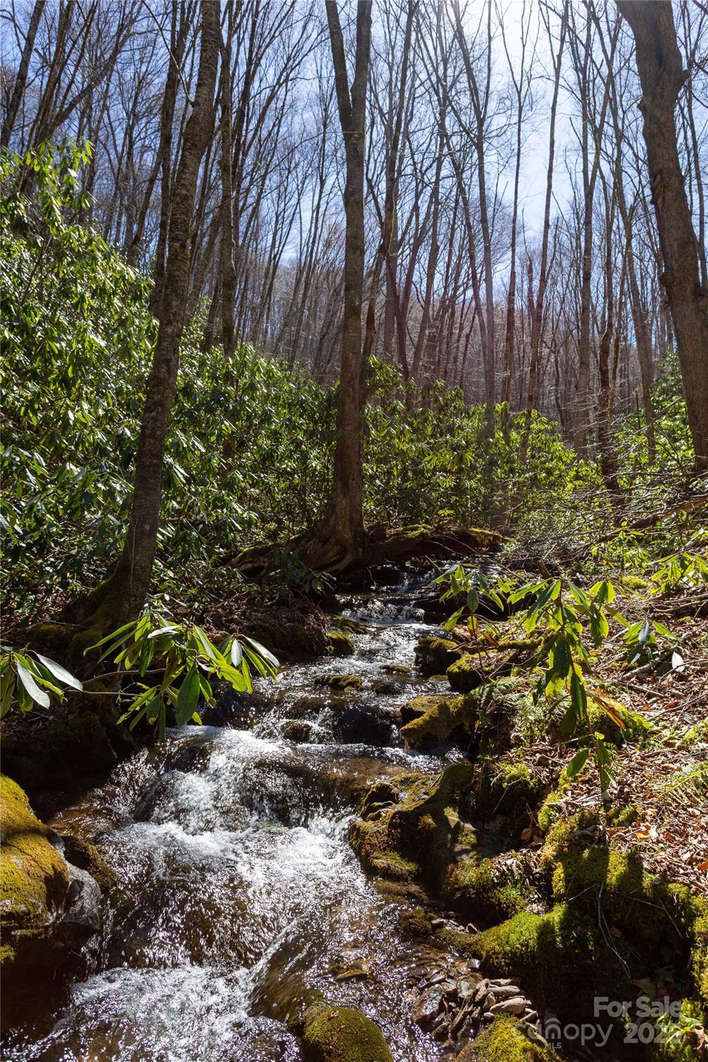 Lot 50 Bearwallow Ridge Trail 50 Property Photo 1