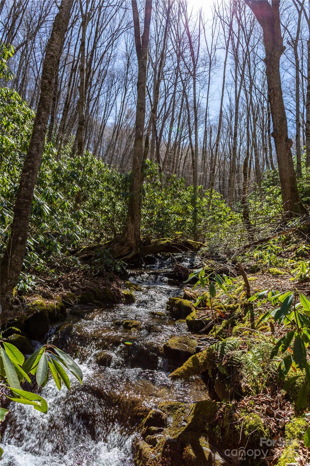 Lot 50 Bearwallow Ridge Trail 50 Property Photo 3