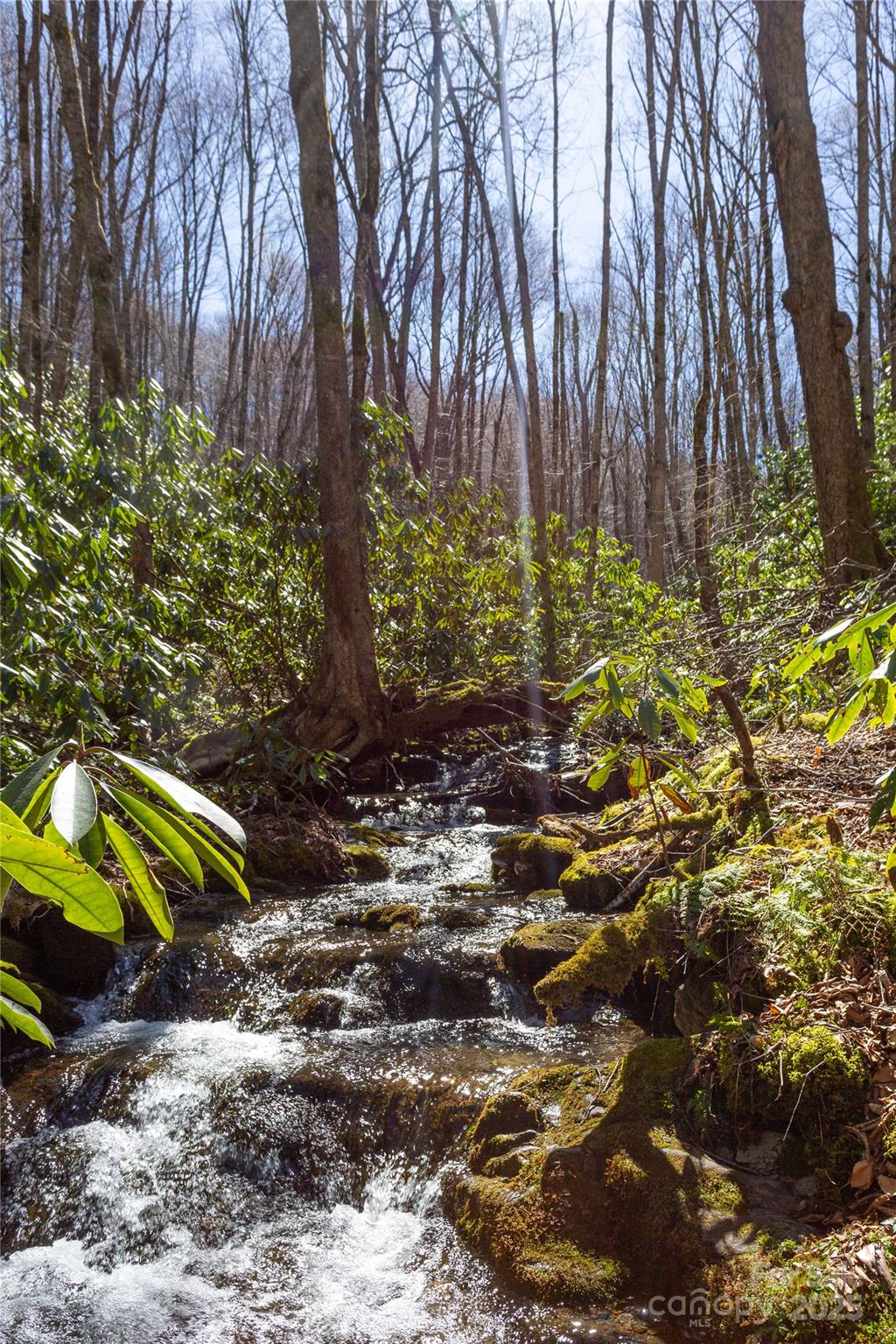 Lot 50 Bearwallow Ridge Trail 50 Property Photo 4
