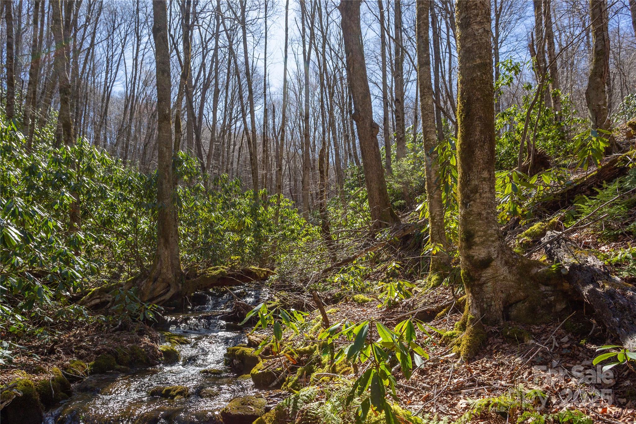 Lot 50 Bearwallow Ridge Trail 50 Property Photo 5