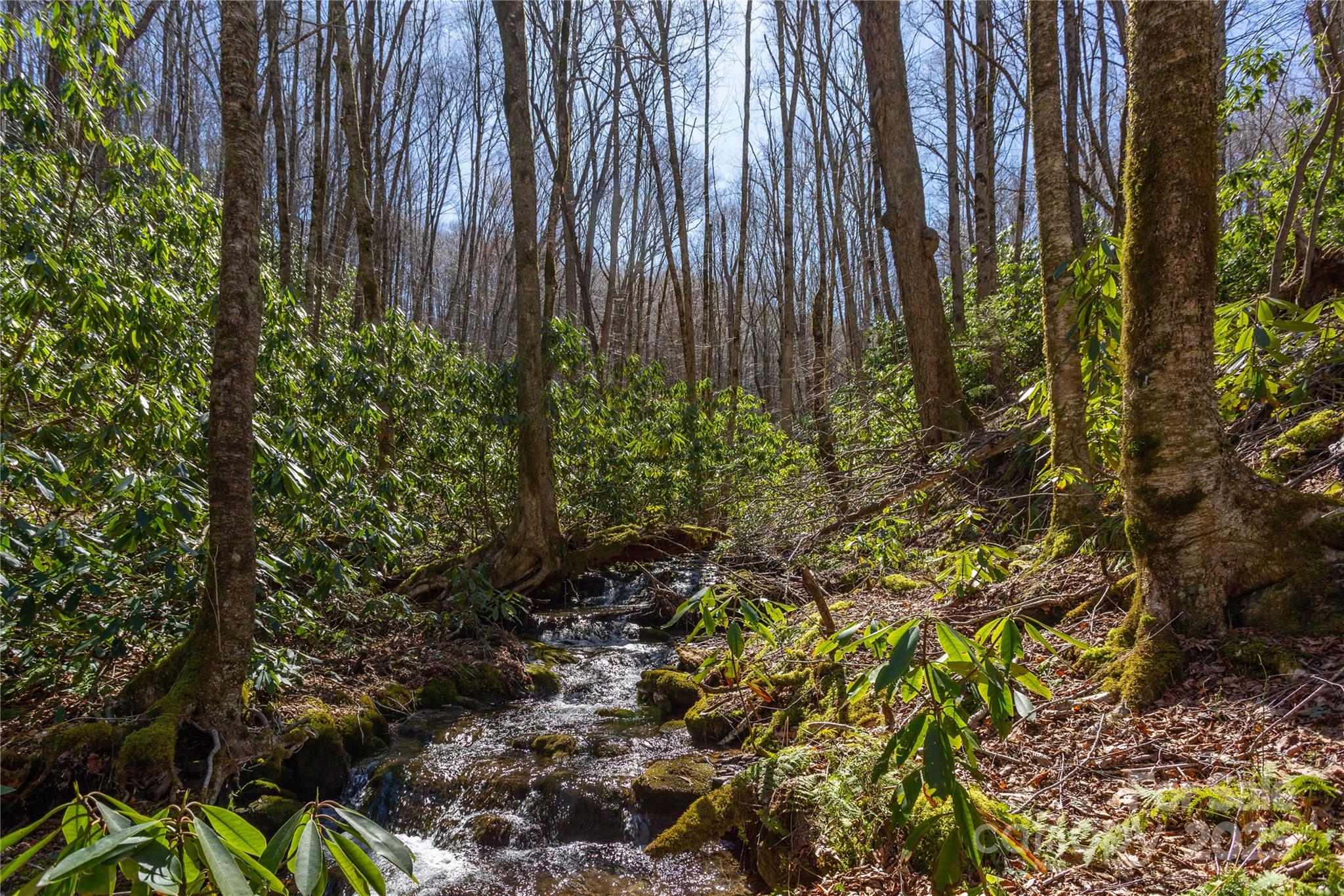 Lot 50 Bearwallow Ridge Trail 50 Property Photo 6