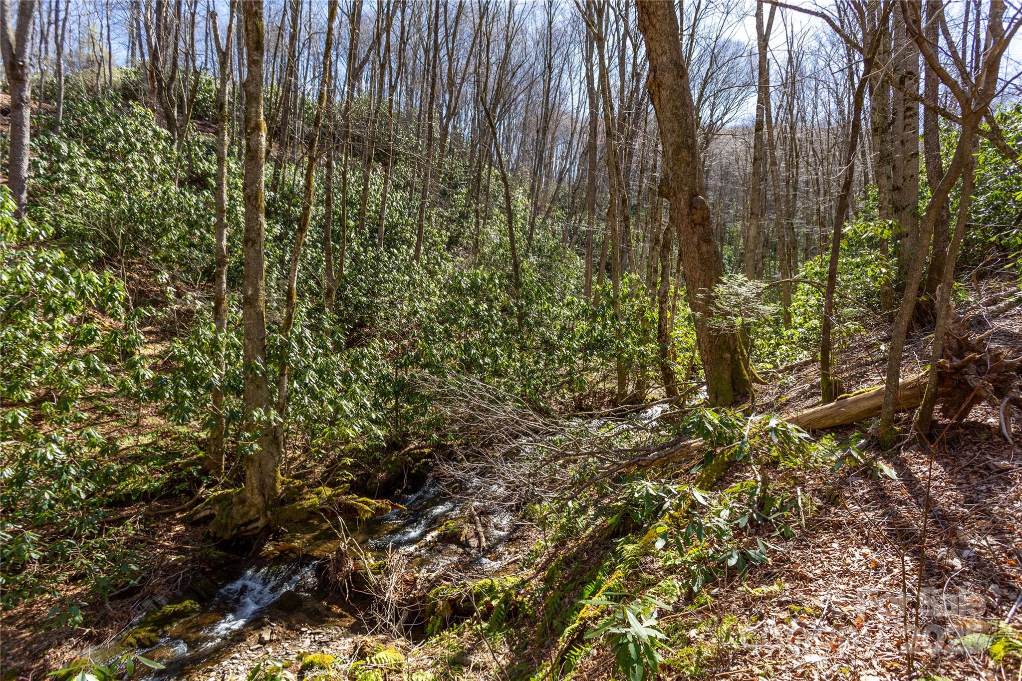 Lot 50 Bearwallow Ridge Trail 50 Property Photo 7