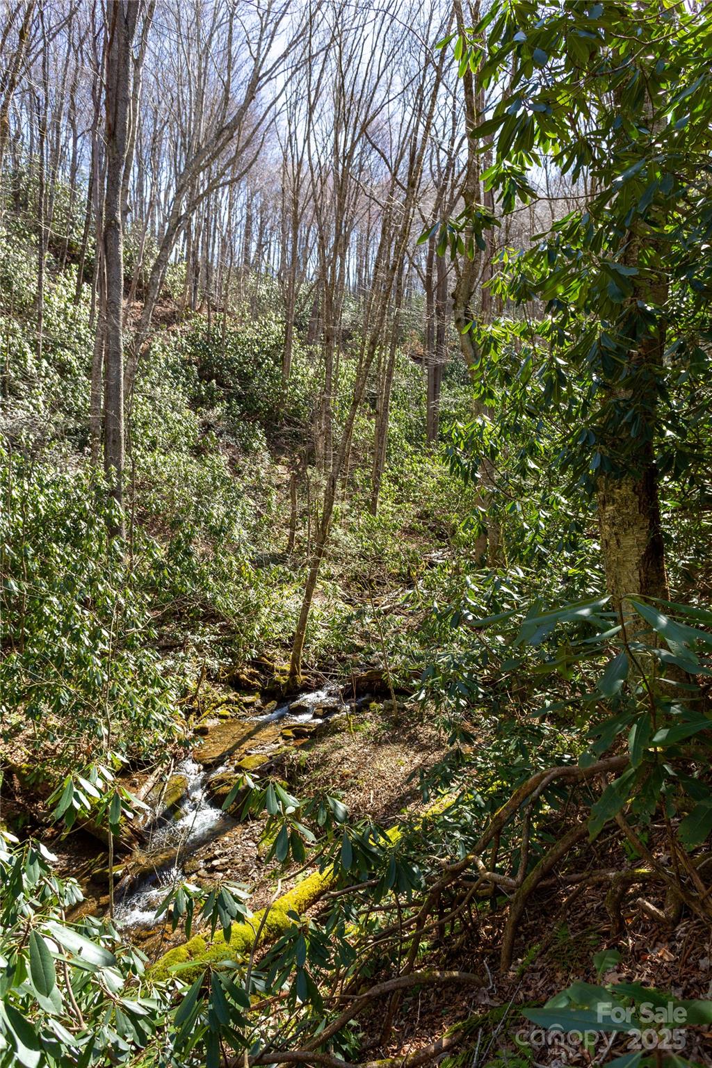 Lot 50 Bearwallow Ridge Trail 50 Property Photo 8