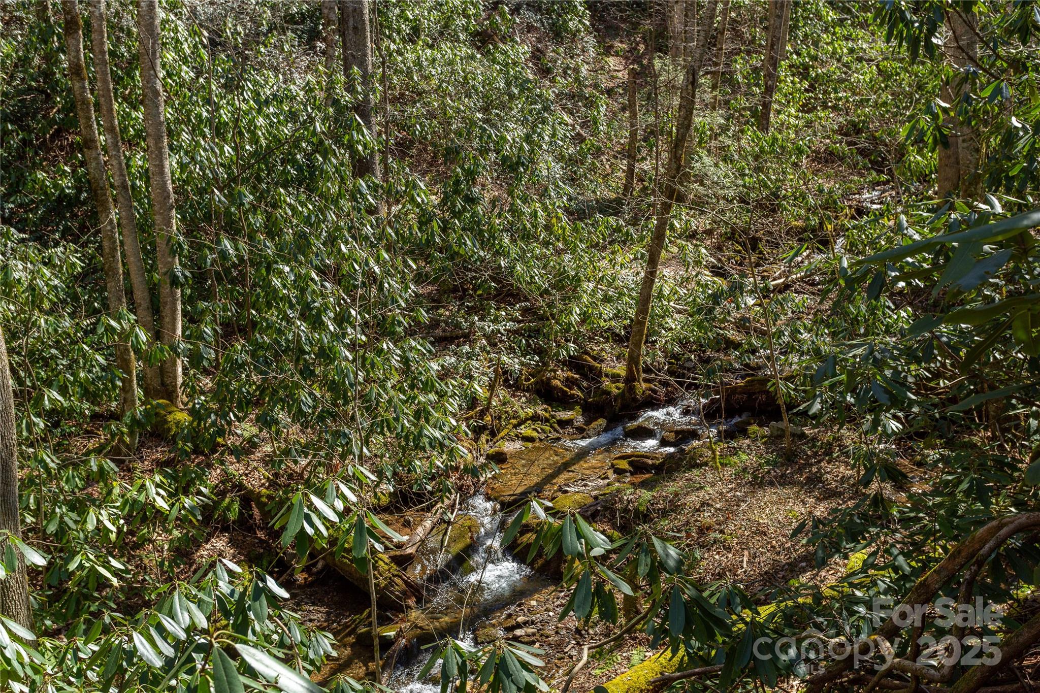 Lot 50 Bearwallow Ridge Trail 50 Property Photo 9