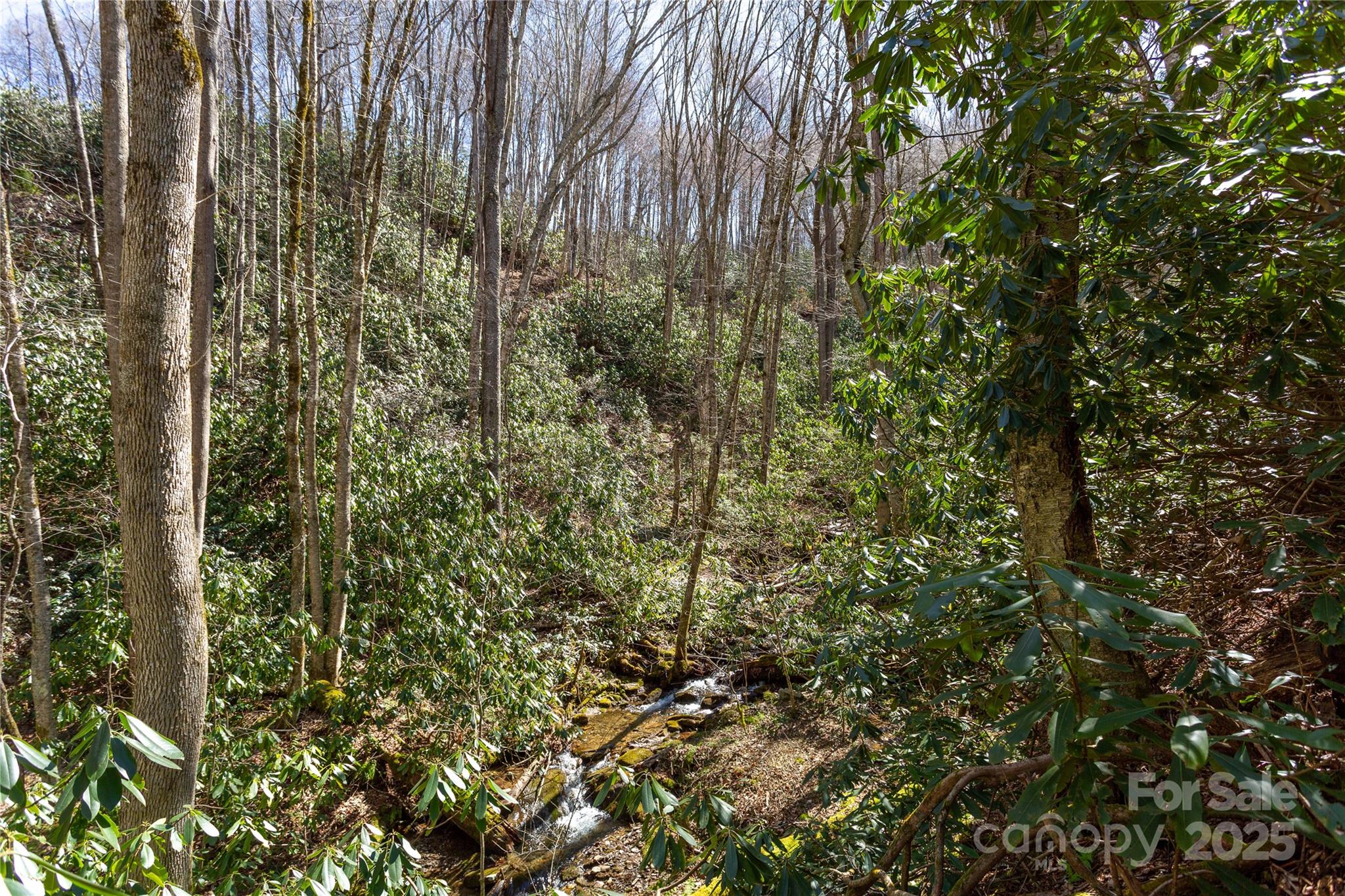Lot 50 Bearwallow Ridge Trail 50 Property Photo 10