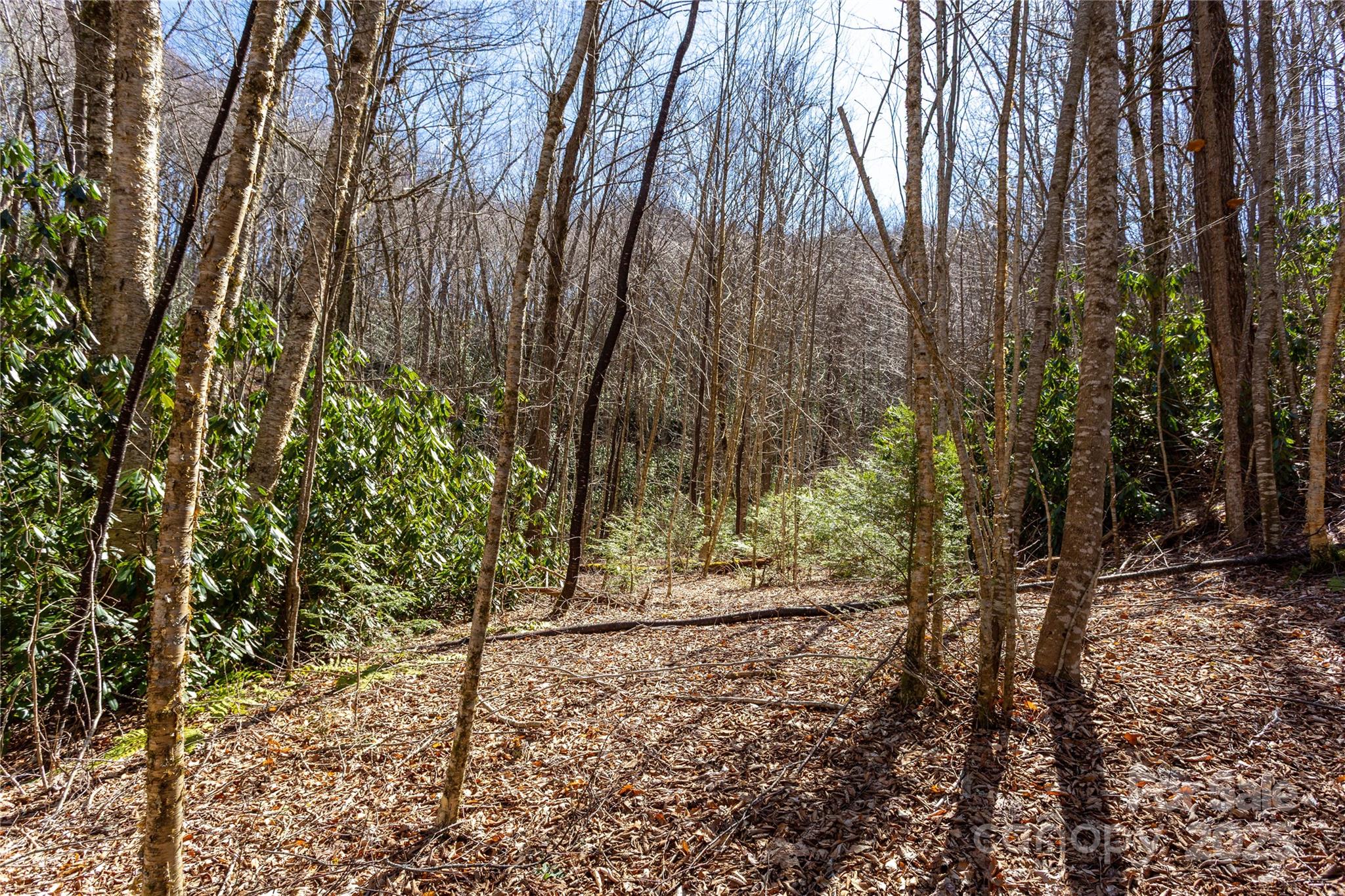 Lot 50 Bearwallow Ridge Trail 50 Property Photo 11