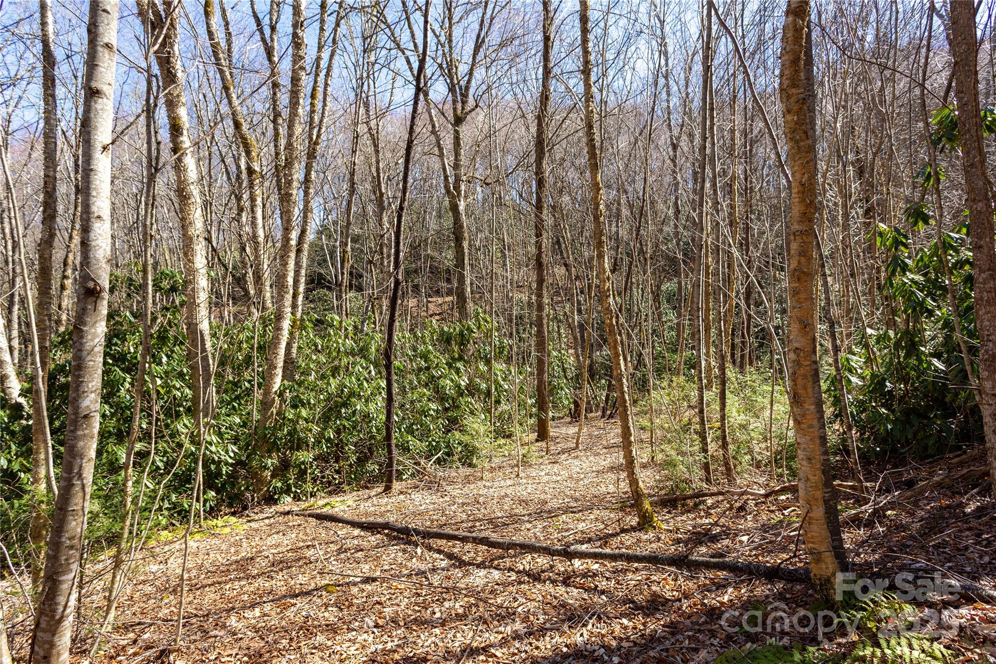 Lot 50 Bearwallow Ridge Trail 50 Property Photo 12