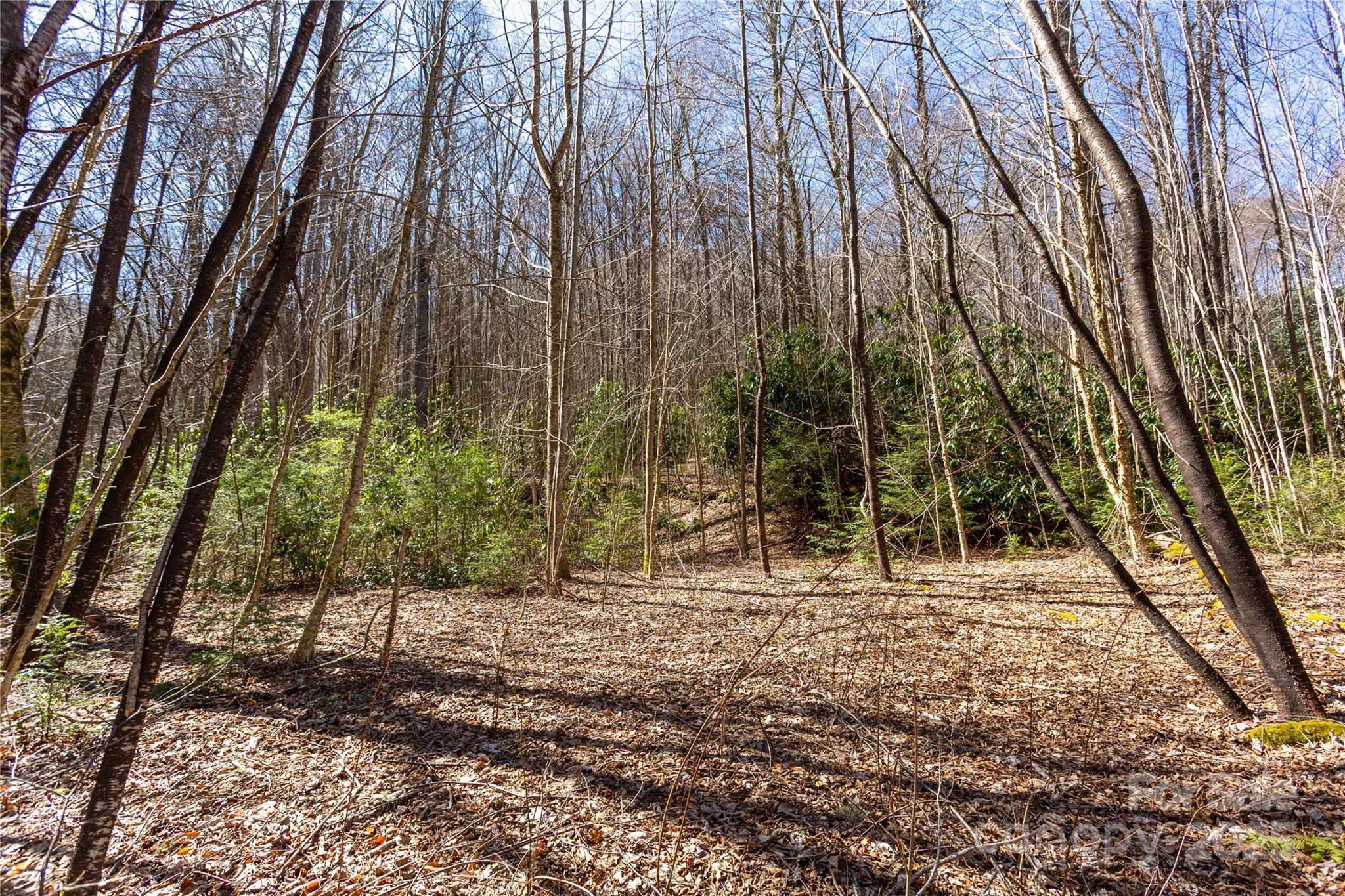 Lot 50 Bearwallow Ridge Trail 50 Property Photo 13