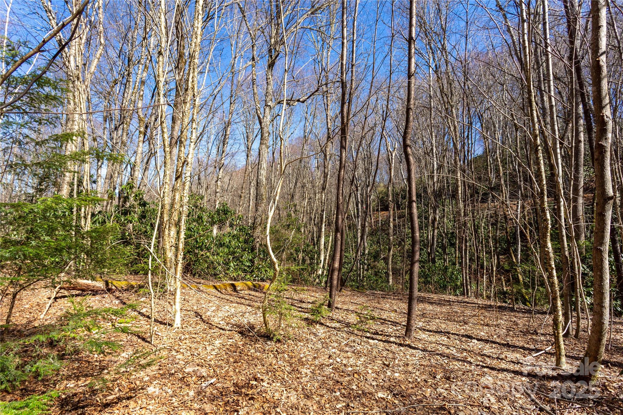 Lot 50 Bearwallow Ridge Trail 50 Property Photo 14
