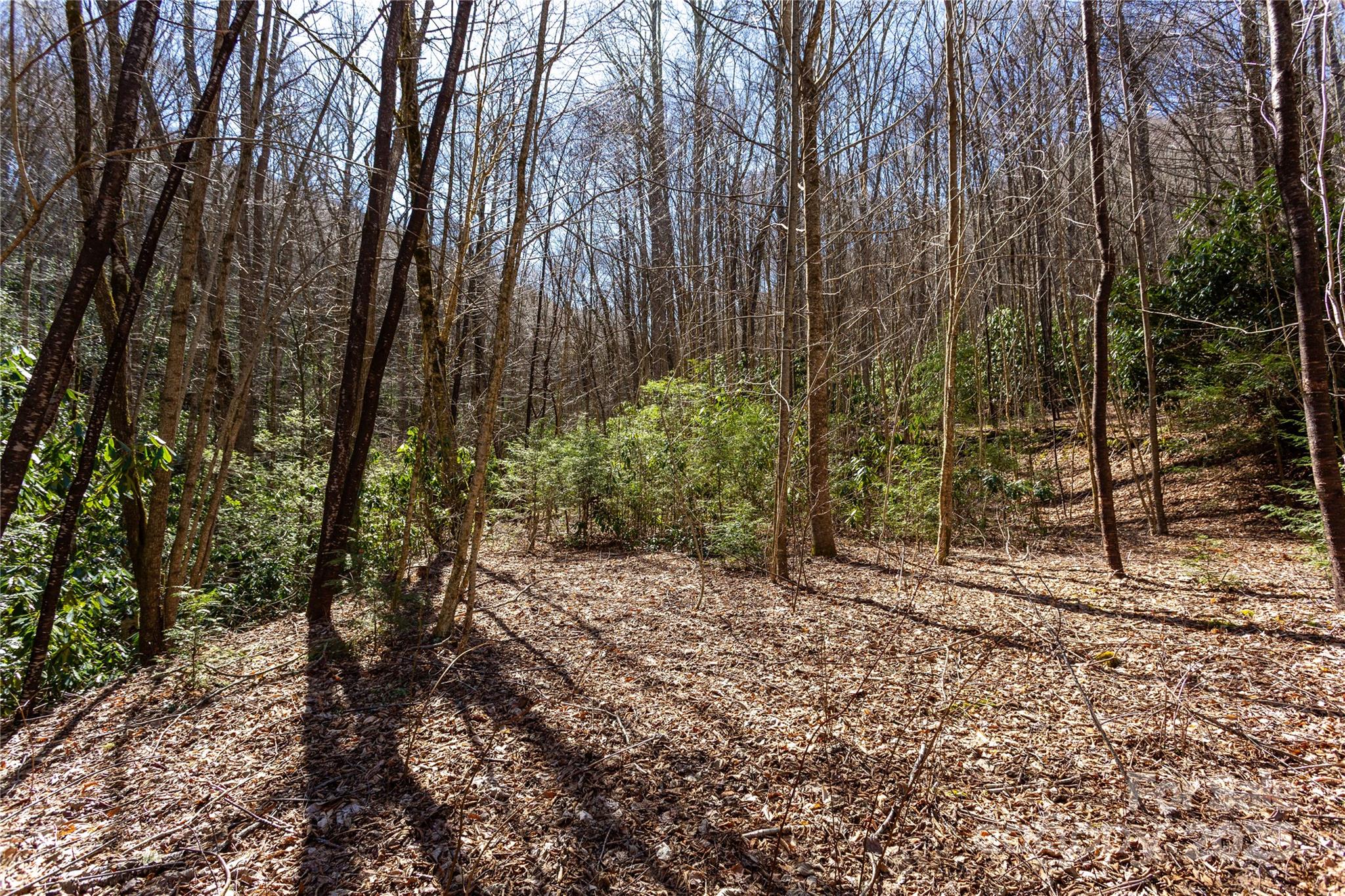 Lot 50 Bearwallow Ridge Trail 50 Property Photo 15