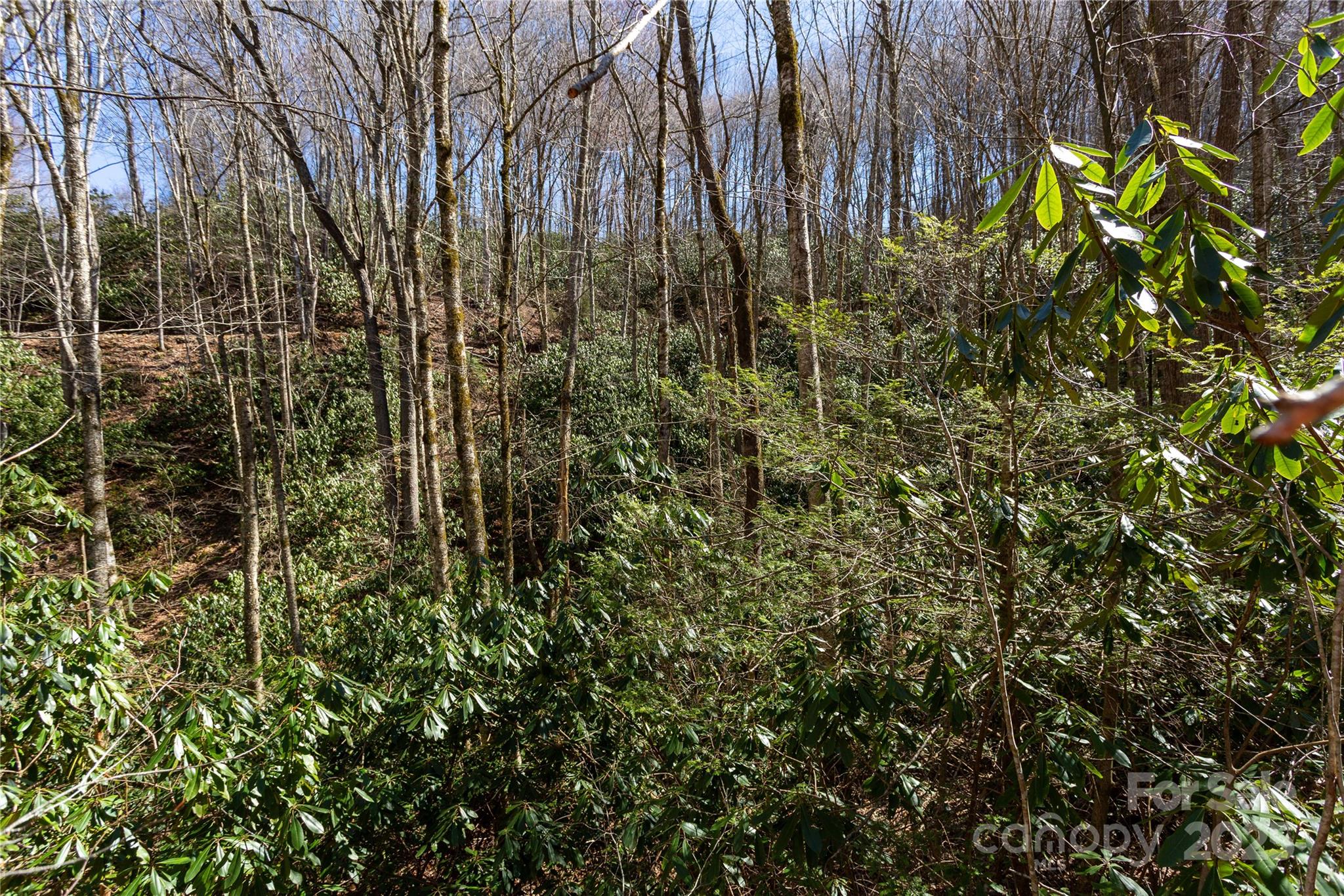 Lot 50 Bearwallow Ridge Trail 50 Property Photo 16