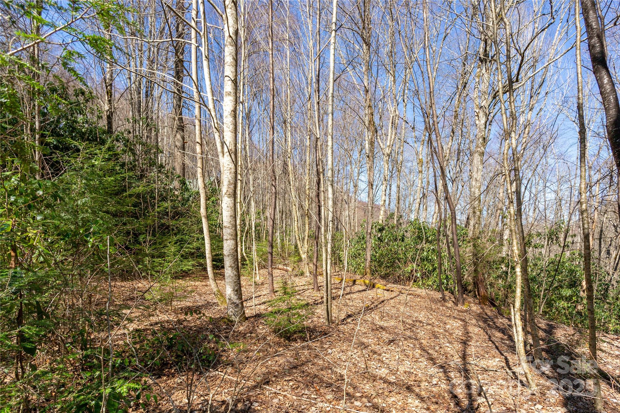 Lot 50 Bearwallow Ridge Trail 50 Property Photo 17