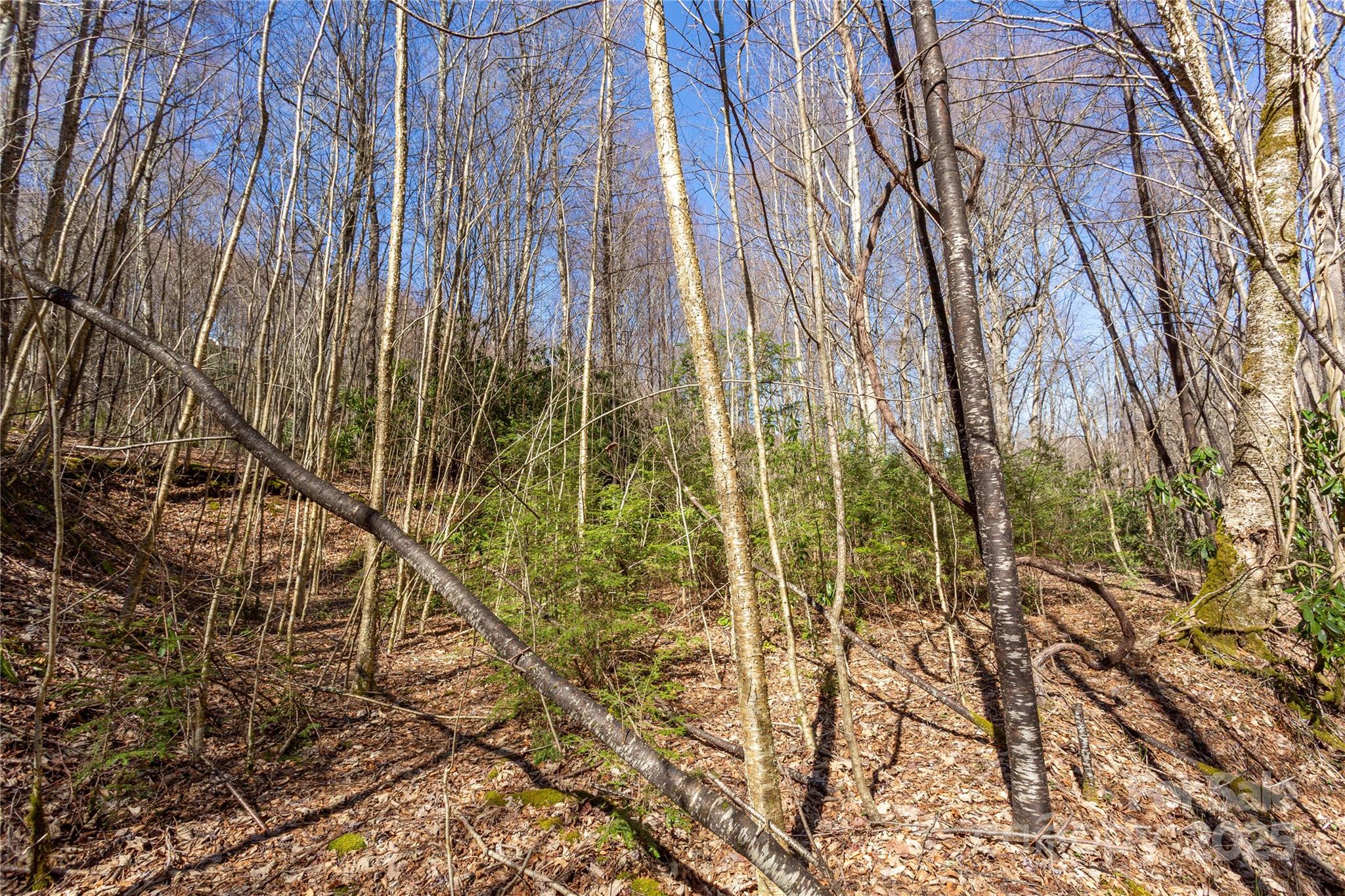 Lot 50 Bearwallow Ridge Trail 50 Property Photo 18