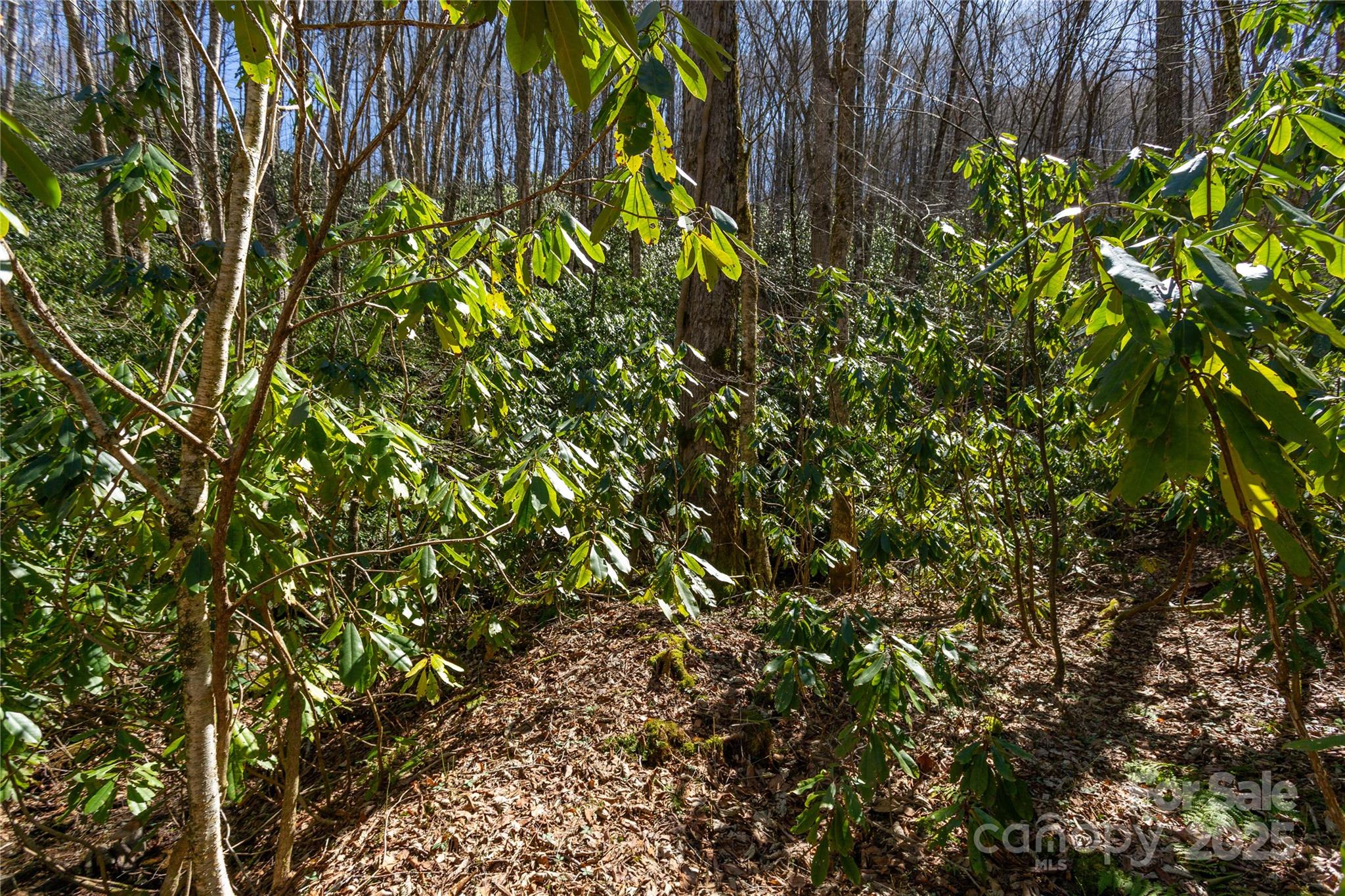 Lot 50 Bearwallow Ridge Trail 50 Property Photo 19