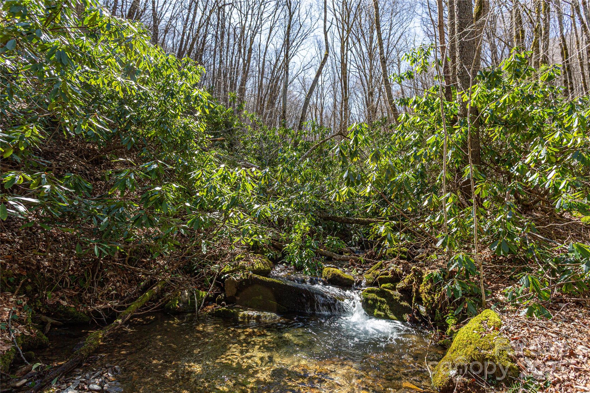 Lot 50 Bearwallow Ridge Trail 50 Property Photo 20