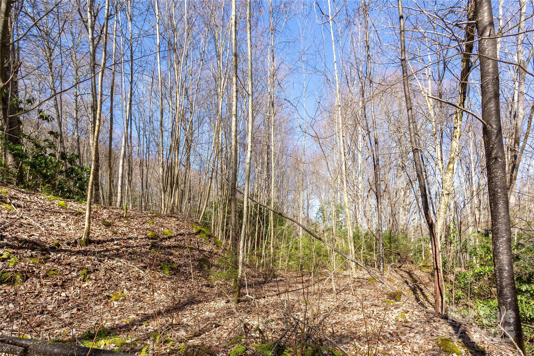 Lot 50 Bearwallow Ridge Trail 50 Property Photo 21