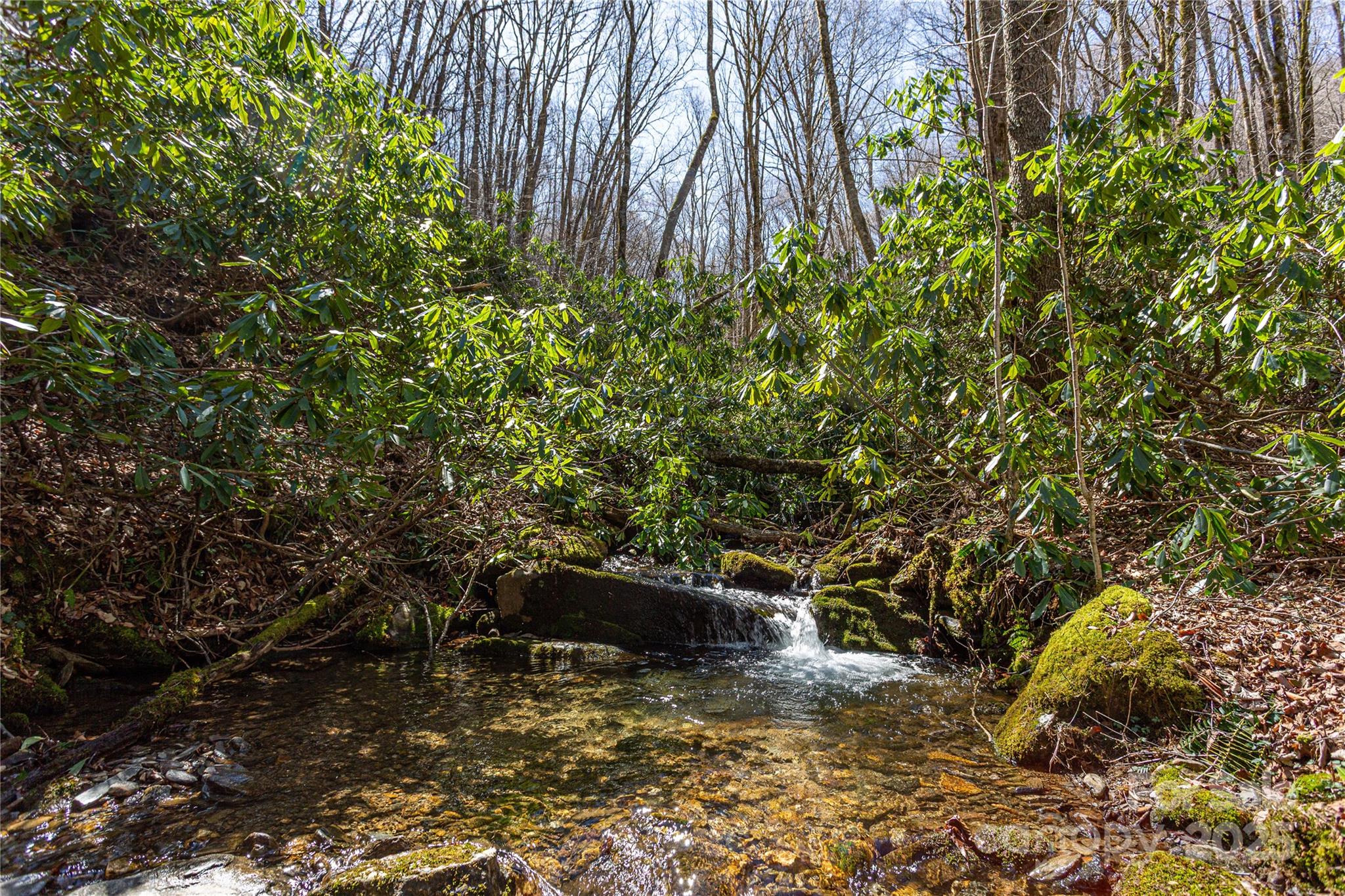 Lot 50 Bearwallow Ridge Trail 50 Property Photo 22